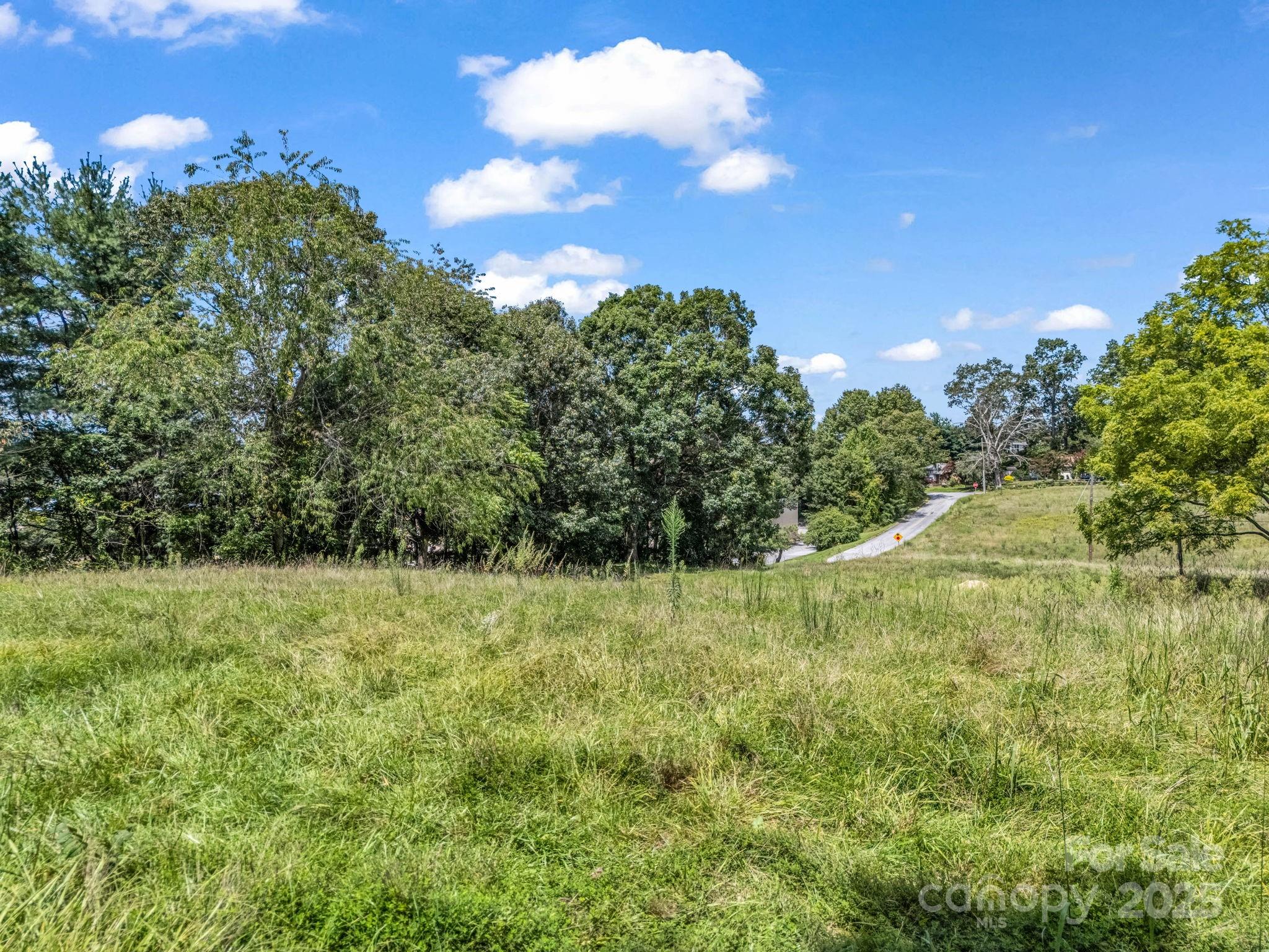 None at 410 Freeman Street, Hendersonville, photo 12 of 28