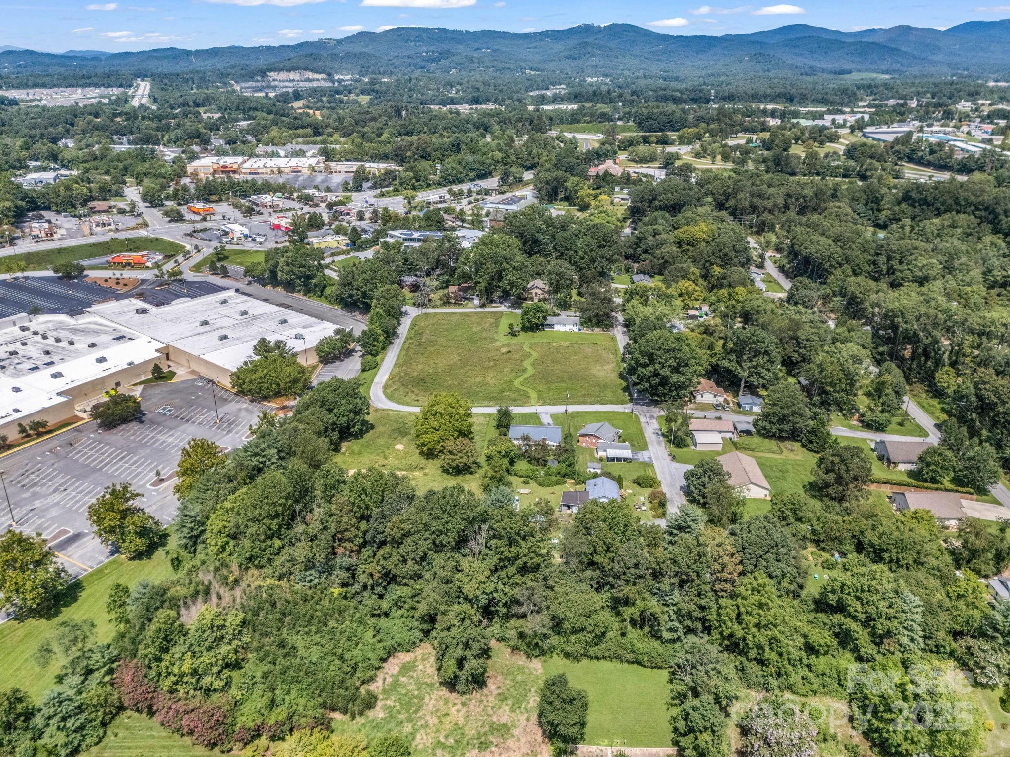 None at 410 Freeman Street, Hendersonville, photo 24 of 28
