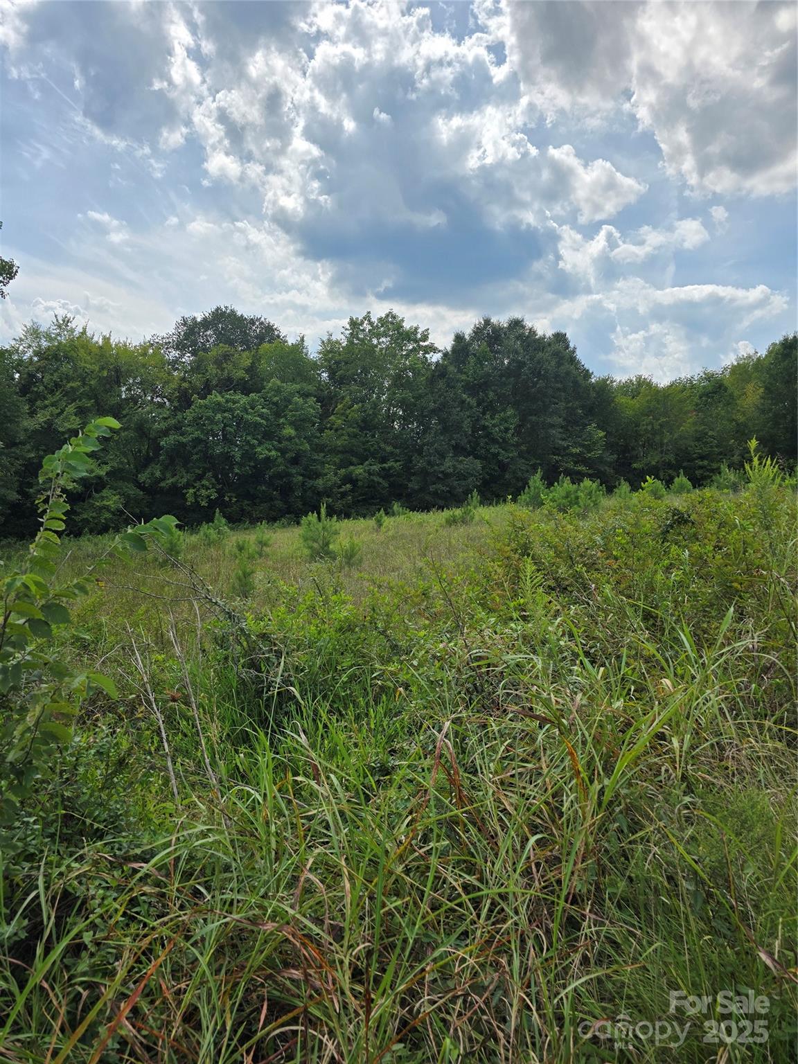 Unimproved Commercial at 1768 Concord Lake Road, Kannapolis, photo 3 of 4