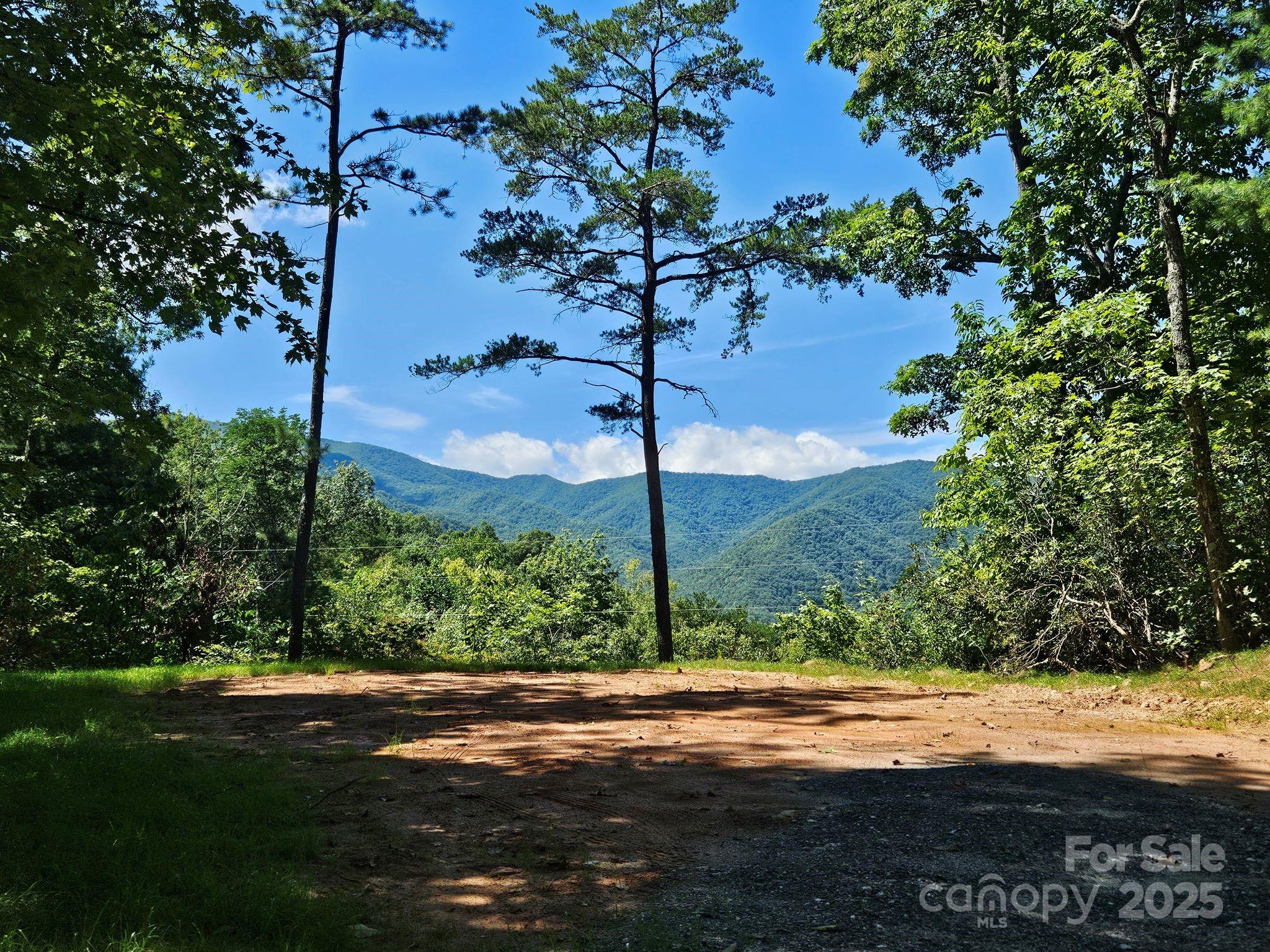 0 Blue Vista Road
