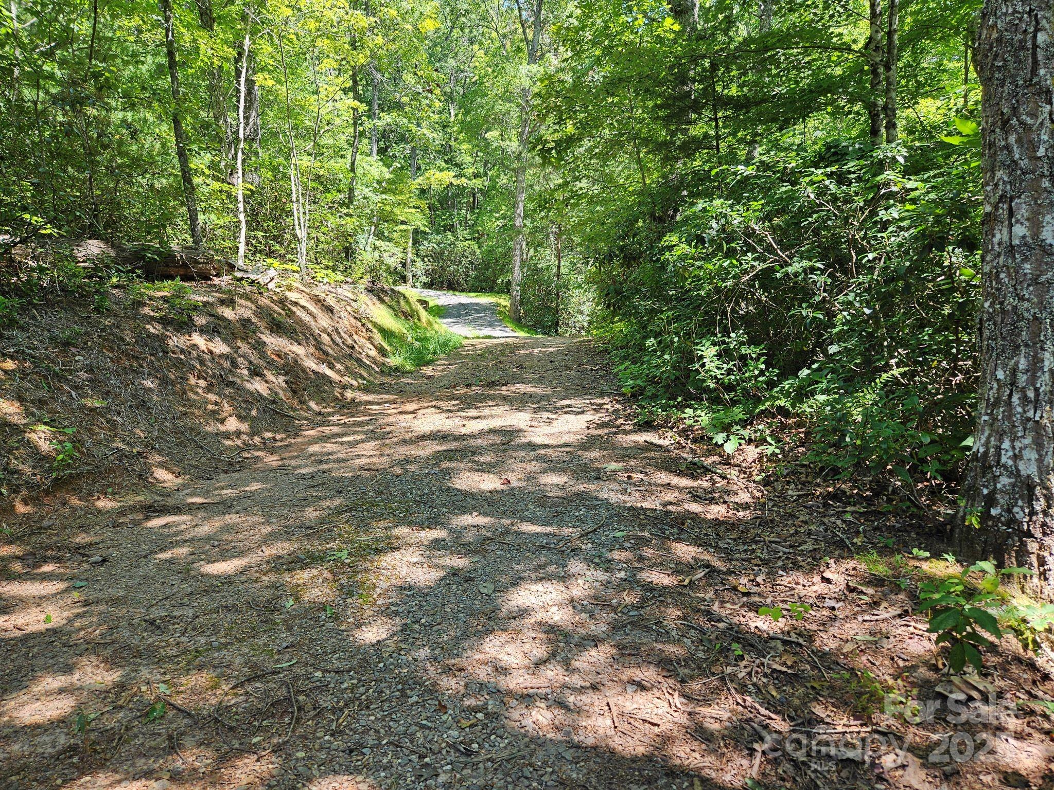 Lot at 0 Blue Vista Road, Canton, photo 2 of 12