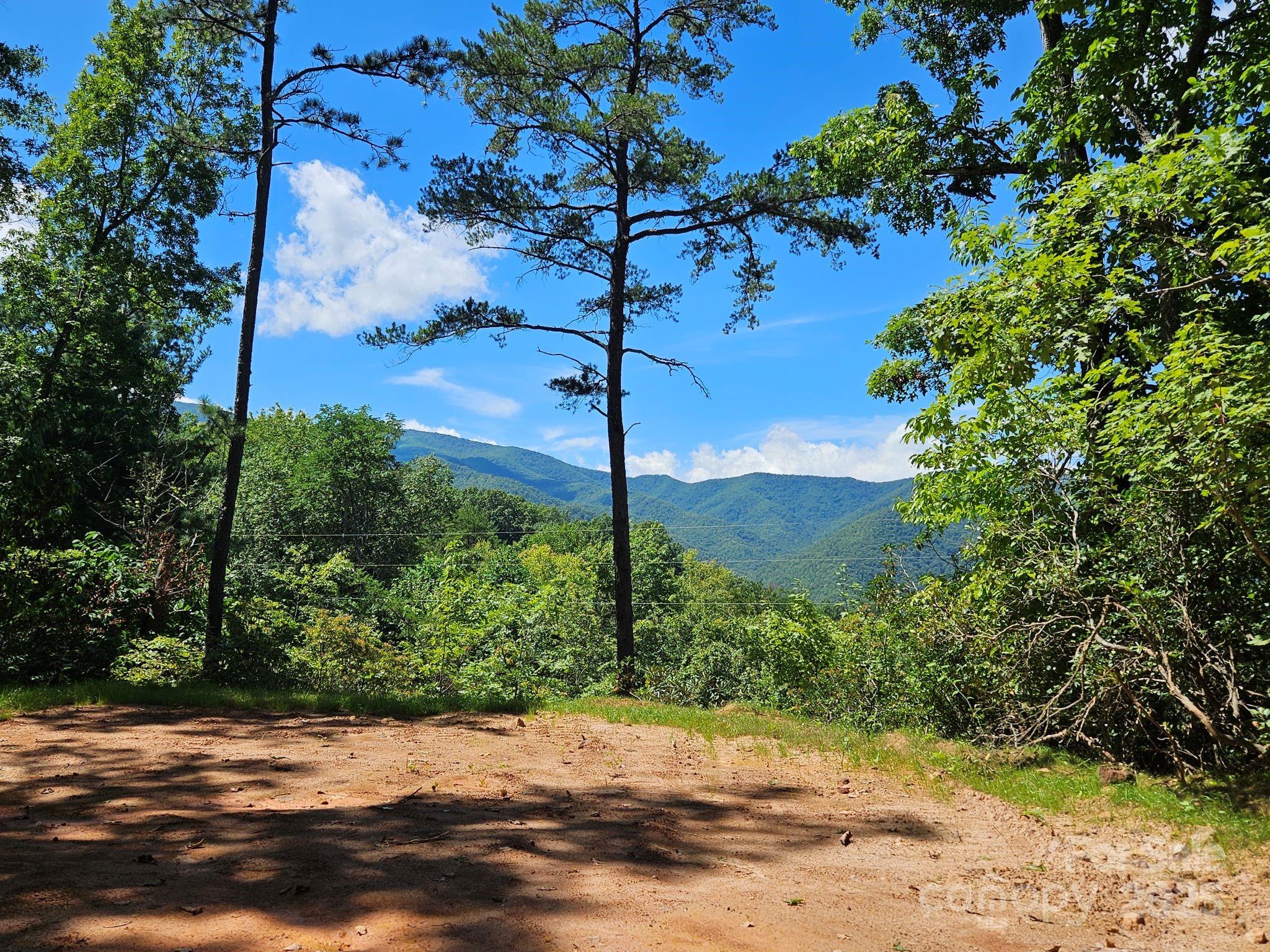 Lot at 0 Blue Vista Road, Canton, photo 5 of 12