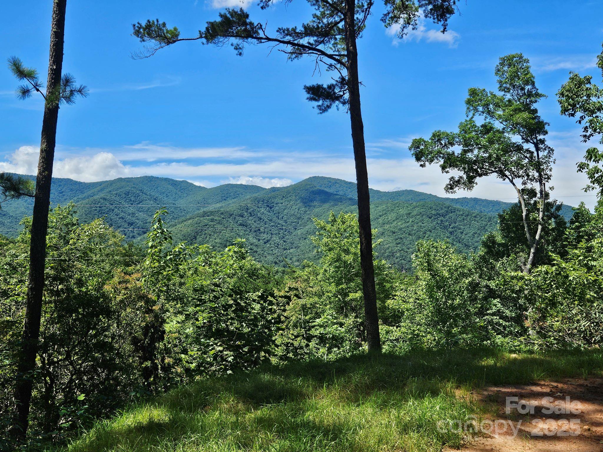 Lot at 0 Blue Vista Road, Canton, photo 6 of 12