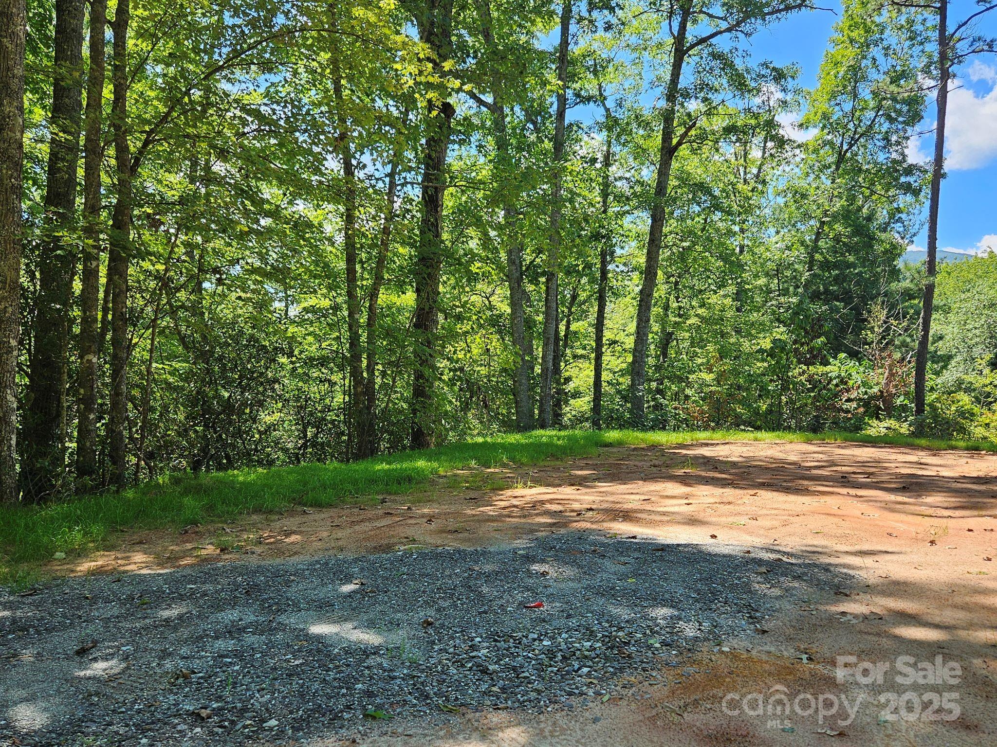 Lot at 0 Blue Vista Road, Canton, photo 8 of 12