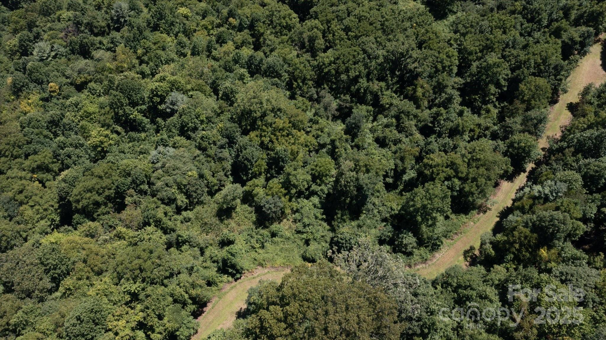 Escalante Road from drone - 107 Escalante Road, Waynesville