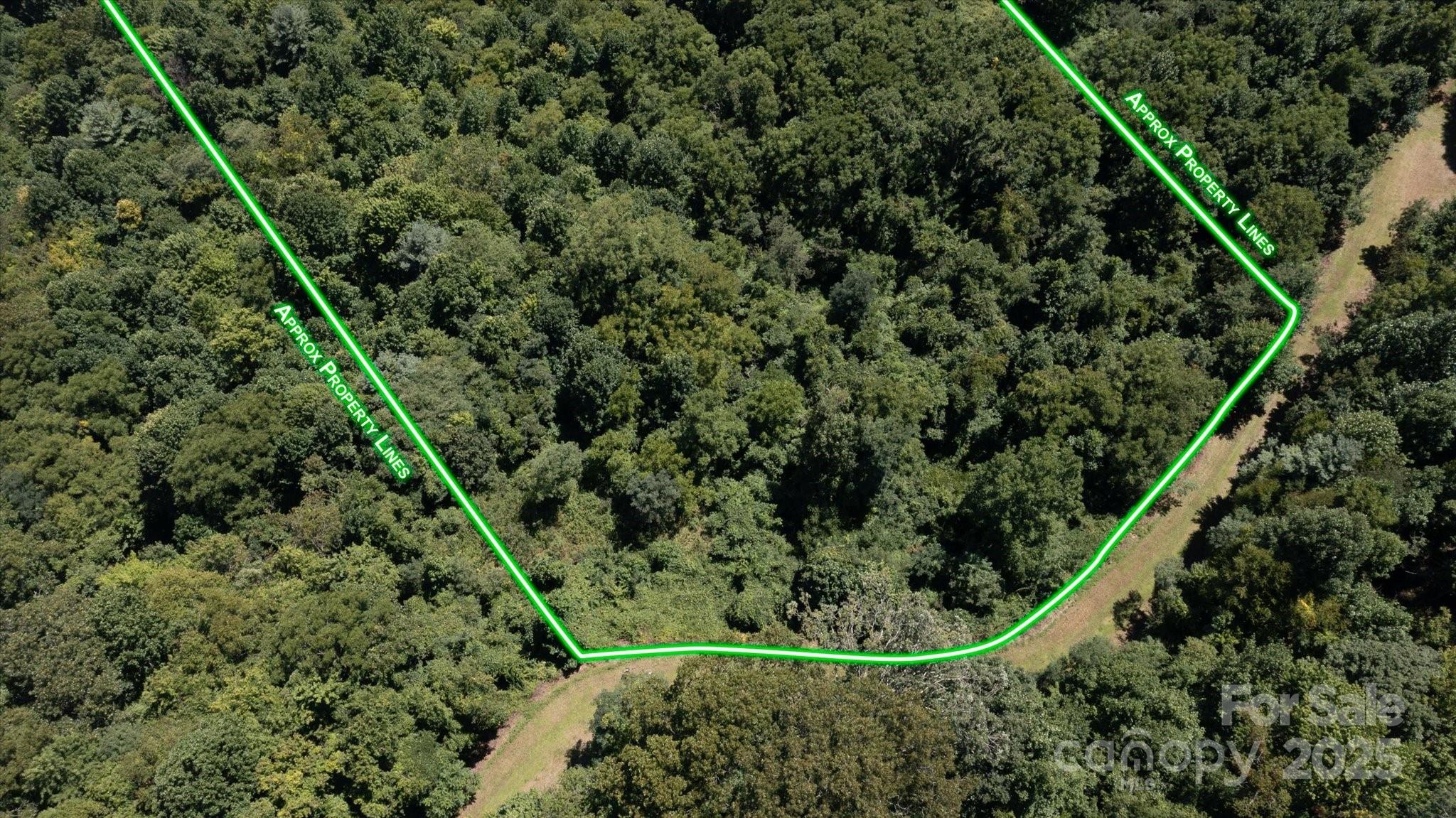 Partial lot with road from drone, lot lines approximation - 107 Escalante Road, Waynesville
