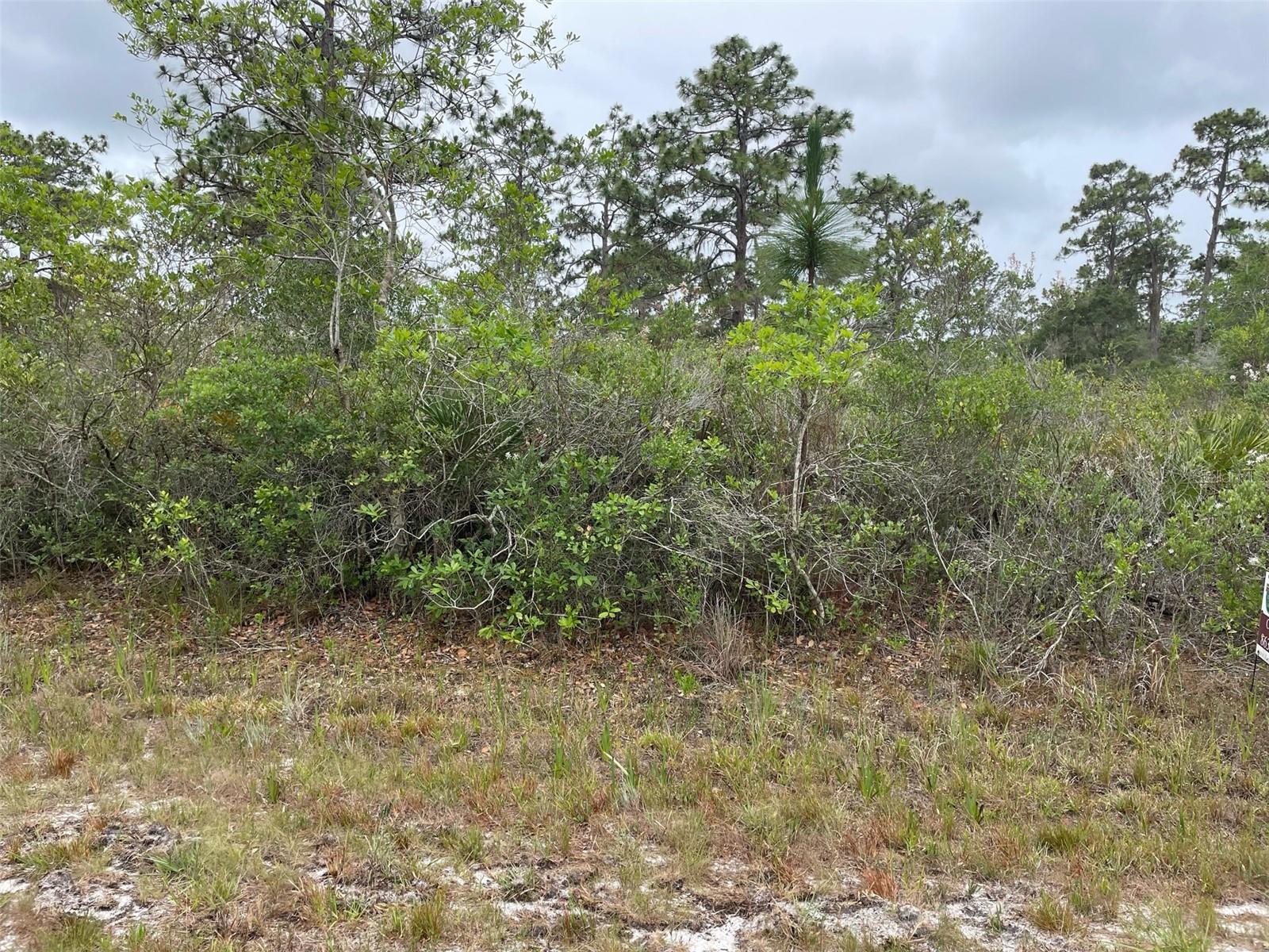 0 BOUGAINVILLEA DR
