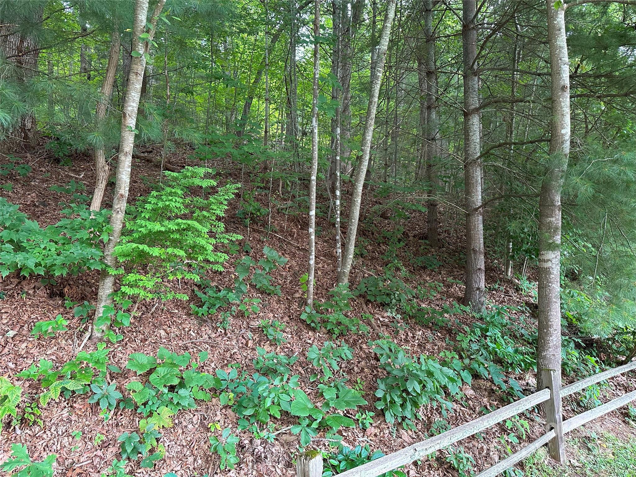 Lot at 000 Ruffed Grouse Lane, Waynesville, photo 2 of 7