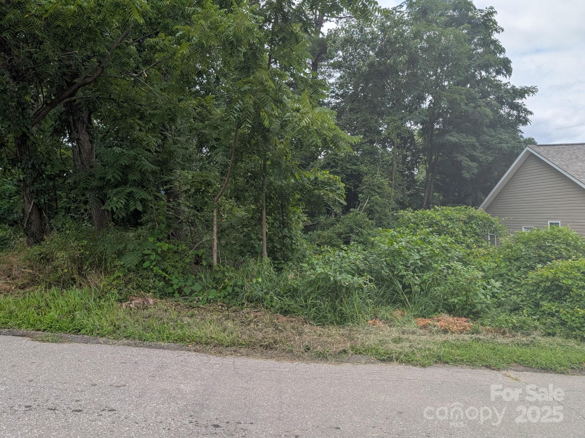 Lot at 0000 Booker Street, Asheville, photo 2 of 3