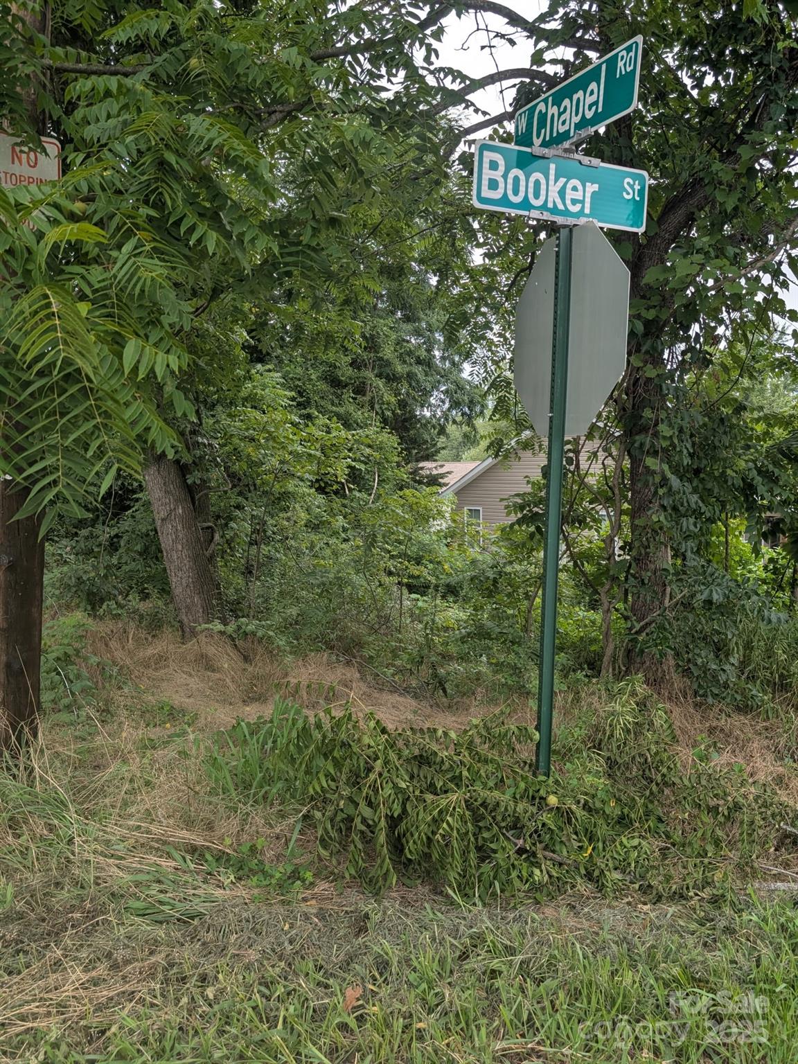 Lot at 0000 Booker Street, Asheville, photo 3 of 3