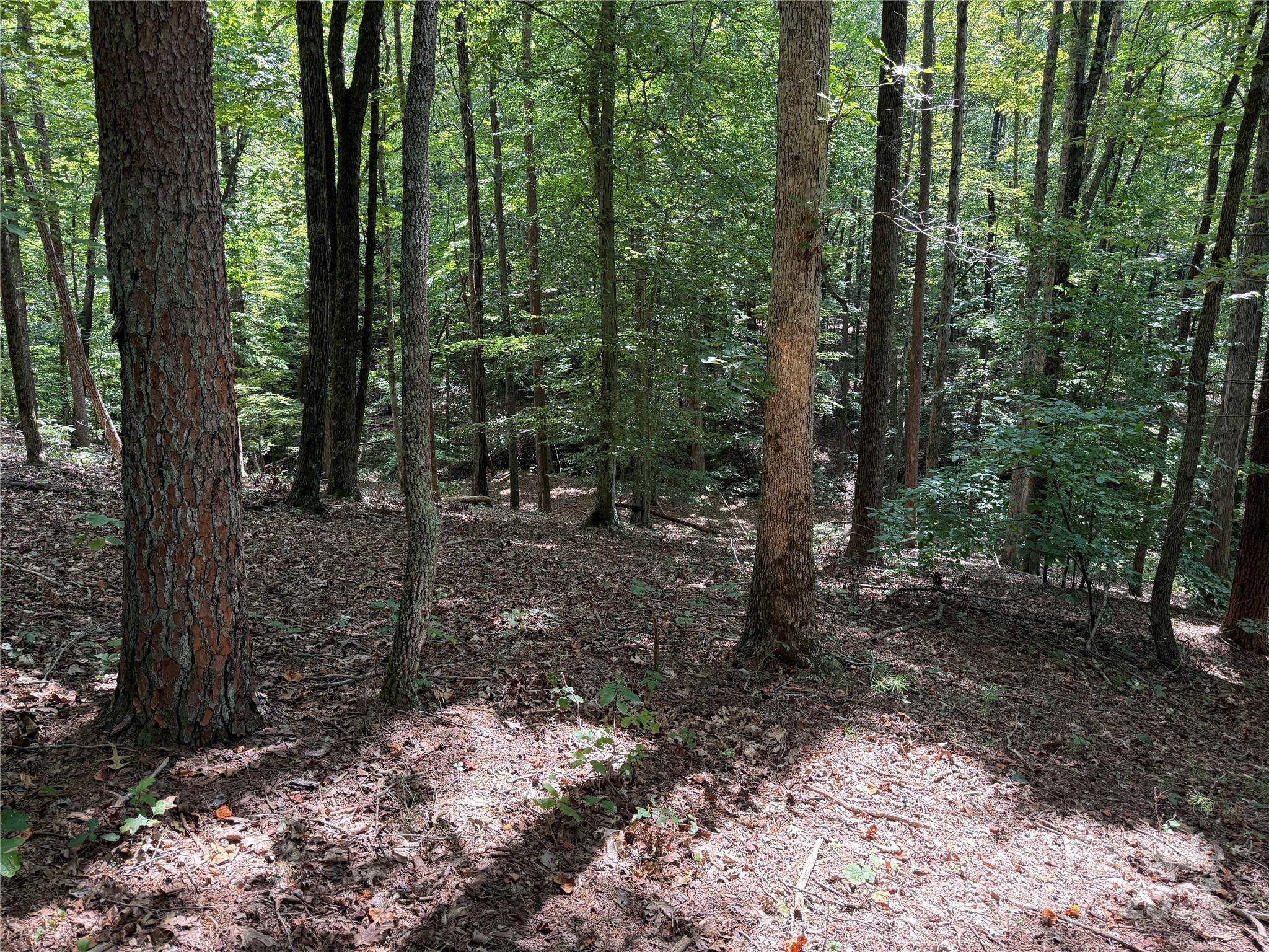 0 Mountain Brook Trail