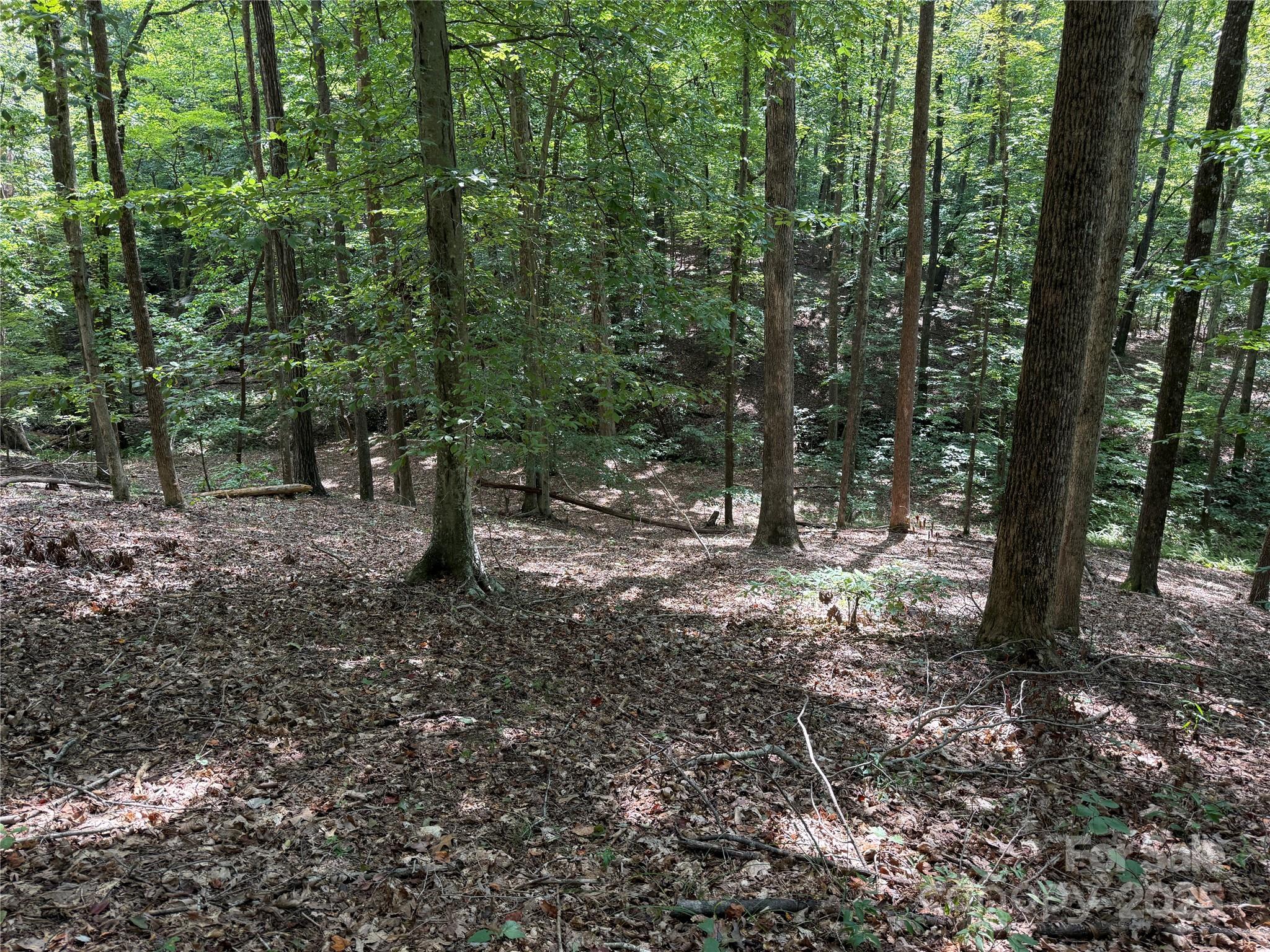 Lot at 0 Mountain Brook Trail, Nebo, photo 2 of 31