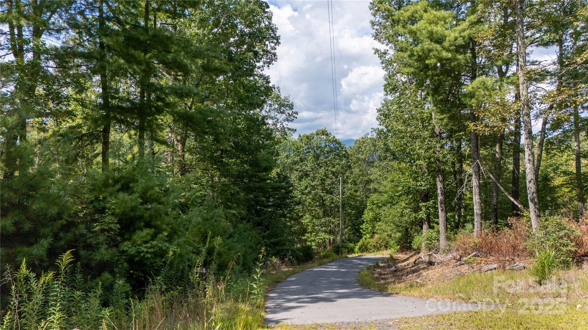 Lot at 0000 Humpback Mountain Road, Spruce Pine, photo 19 of 25