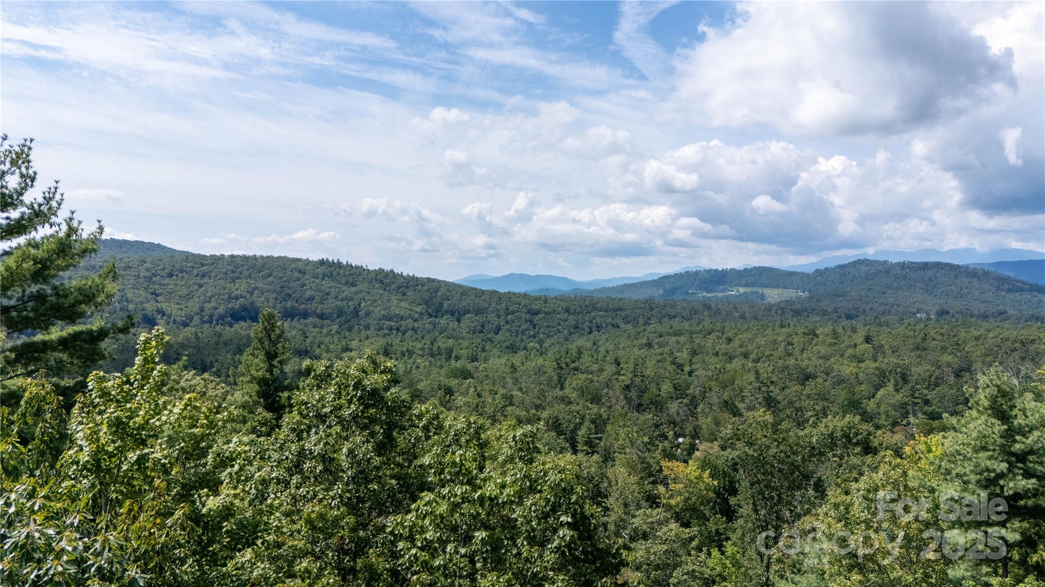 Lot at 0000 Humpback Mountain Road, Spruce Pine, photo 25 of 25