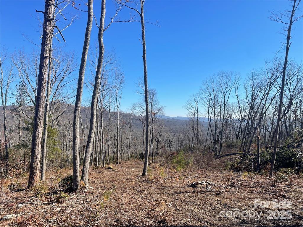 Lot at Lot 59 Mountain Grove Lane, Fletcher, photo 2 of 4