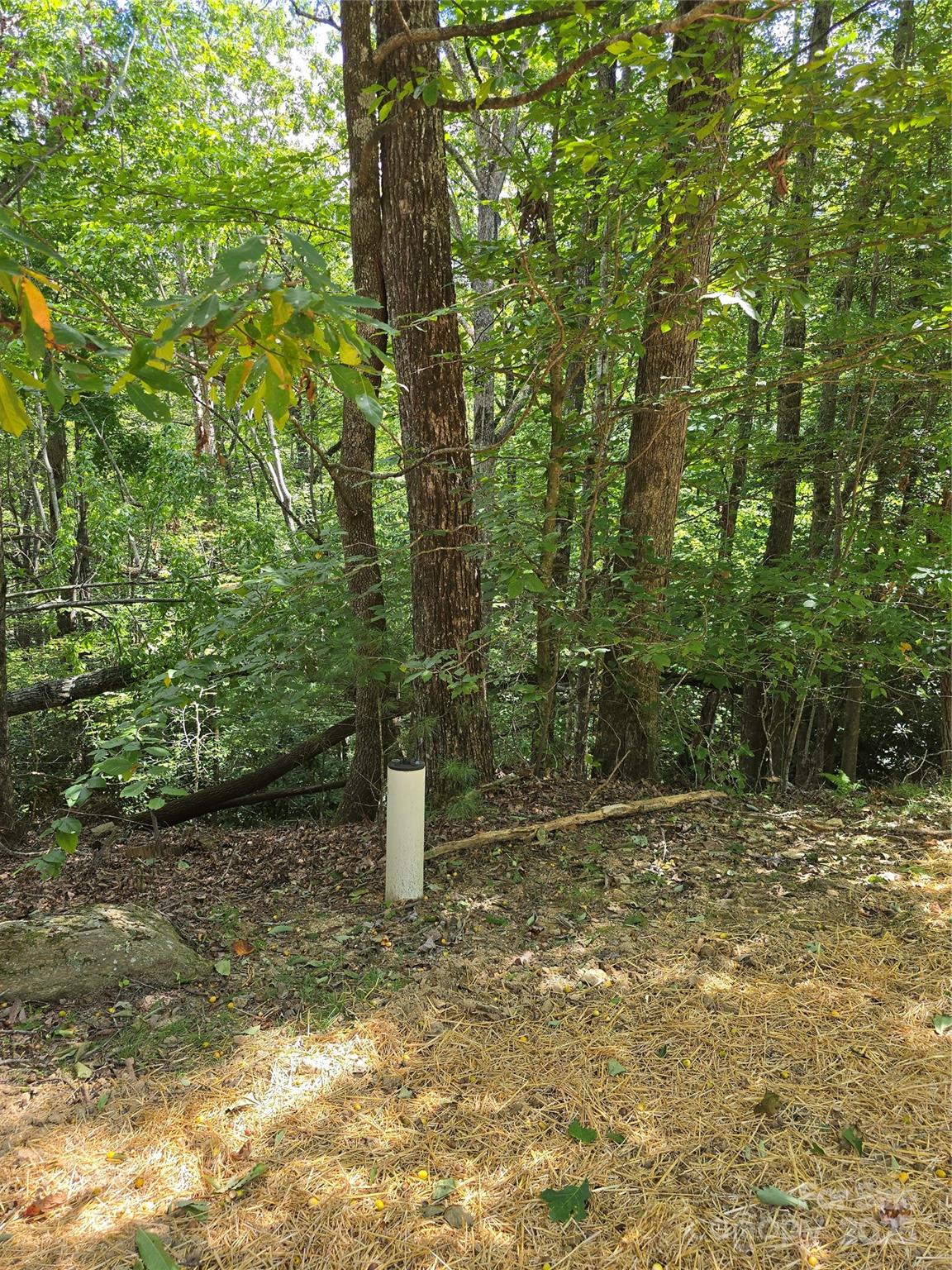 The property has a water well already installed. - 11 Reserve Road, Pisgah Forest