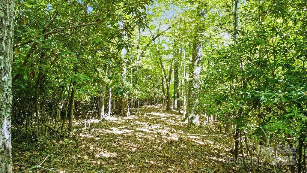 Check out this beautiful, level building site on the ridge. - 11 Reserve Road, Pisgah Forest