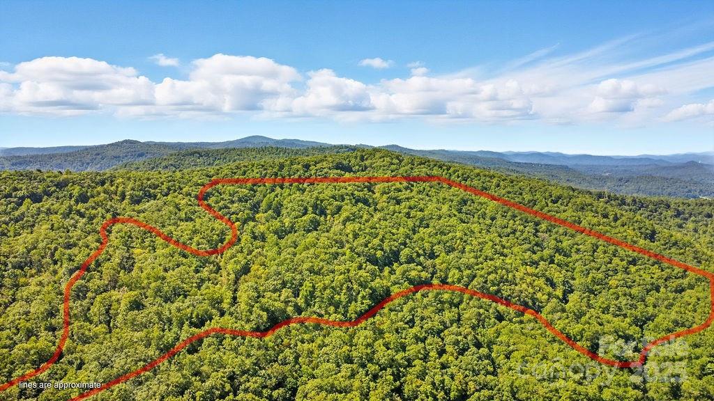 Anther view of the property lines (approximate) - 11 Reserve Road, Pisgah Forest