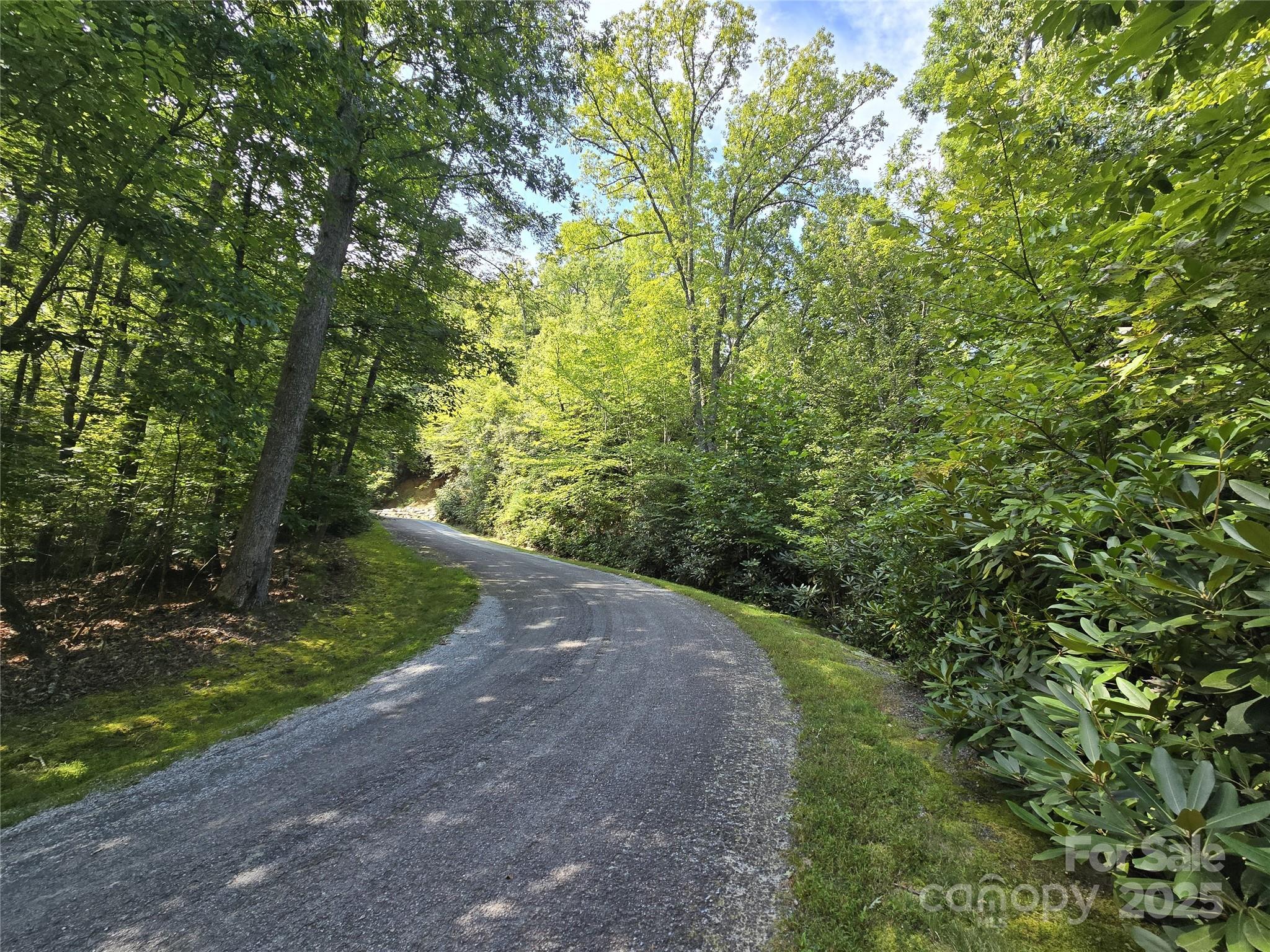The Reserve community does a wonderful job of maintaining the private roads. This is looking up to the west from the building site. - 11 Reserve Road, Pisgah Forest