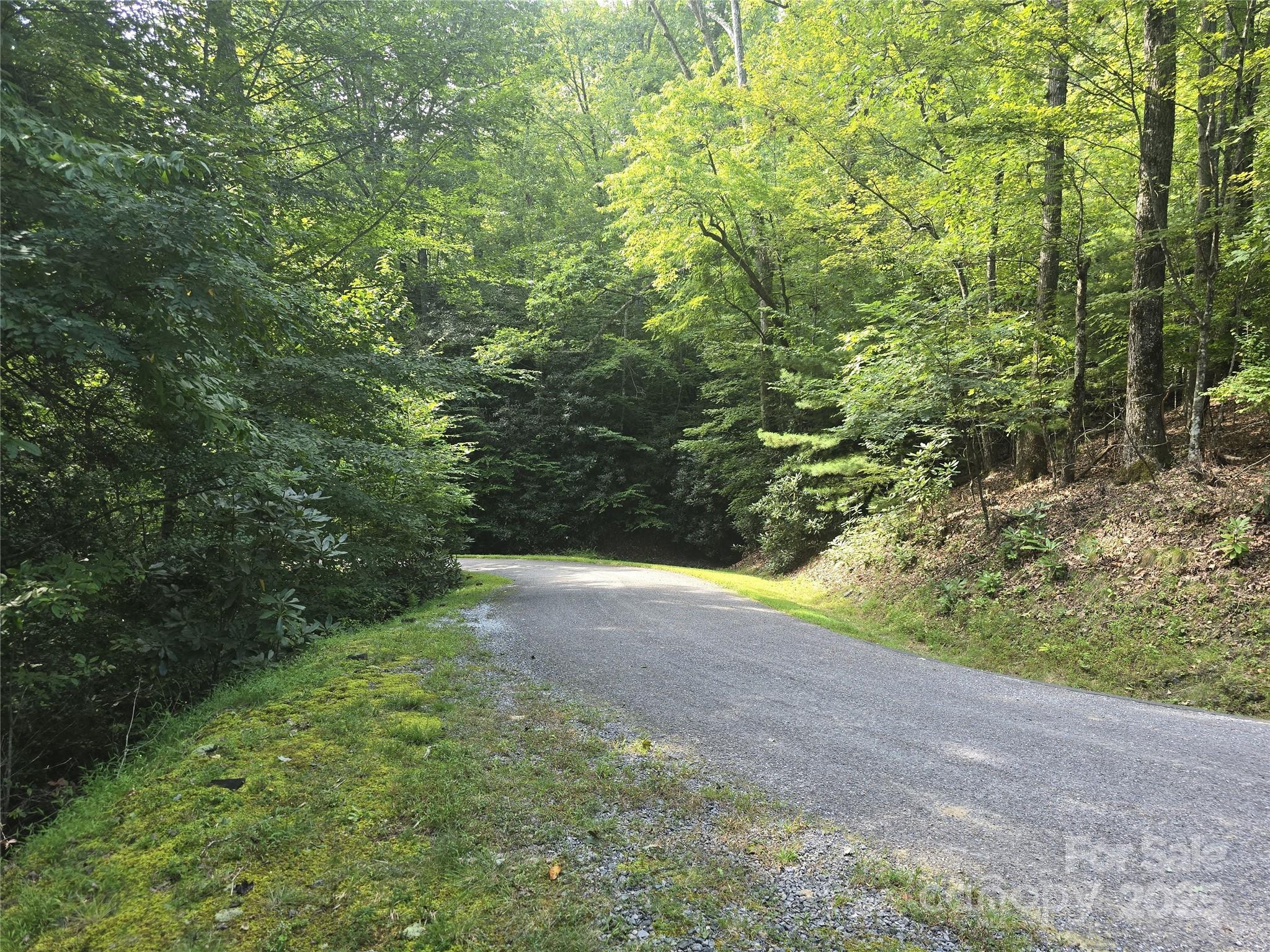 This is looking from the building site to the south on the roadside. - 11 Reserve Road, Pisgah Forest