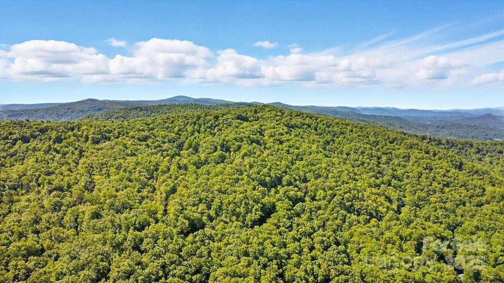 Acreage at 11 Reserve Road, Pisgah Forest, photo 27 of 38