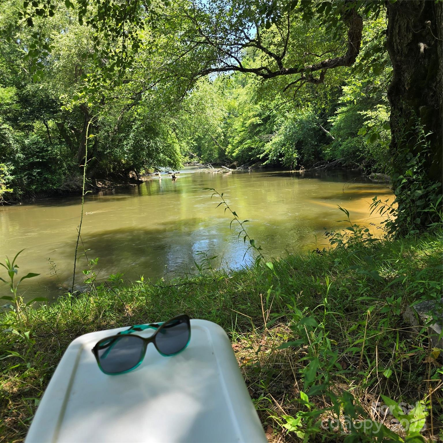 Take a paddle trip or fish on the French Broad River. There are two nearby accesses. - 11 Reserve Road, Pisgah Forest