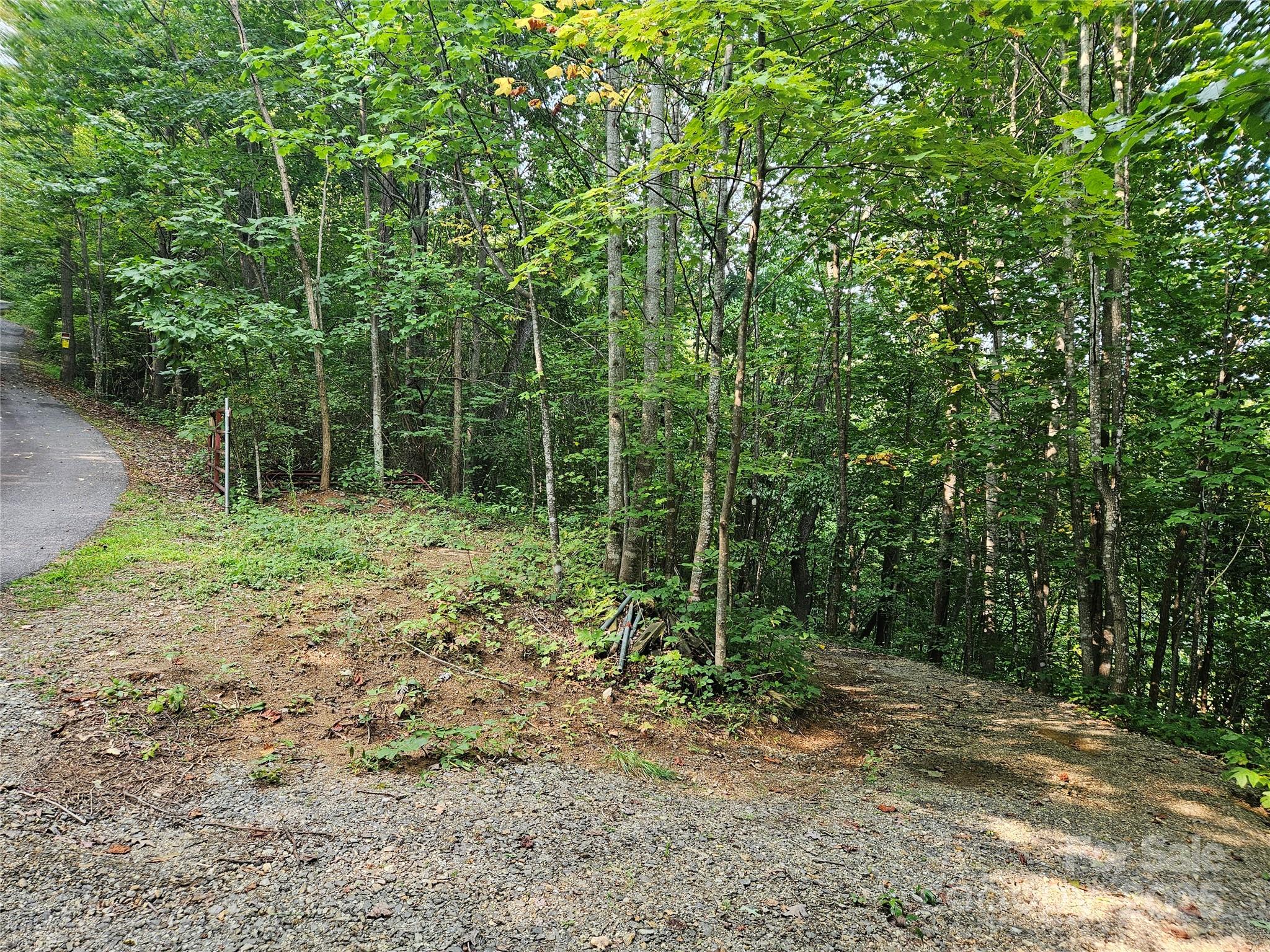 Lot at 112 Steinwald Trail, Waynesville, photo 2 of 18
