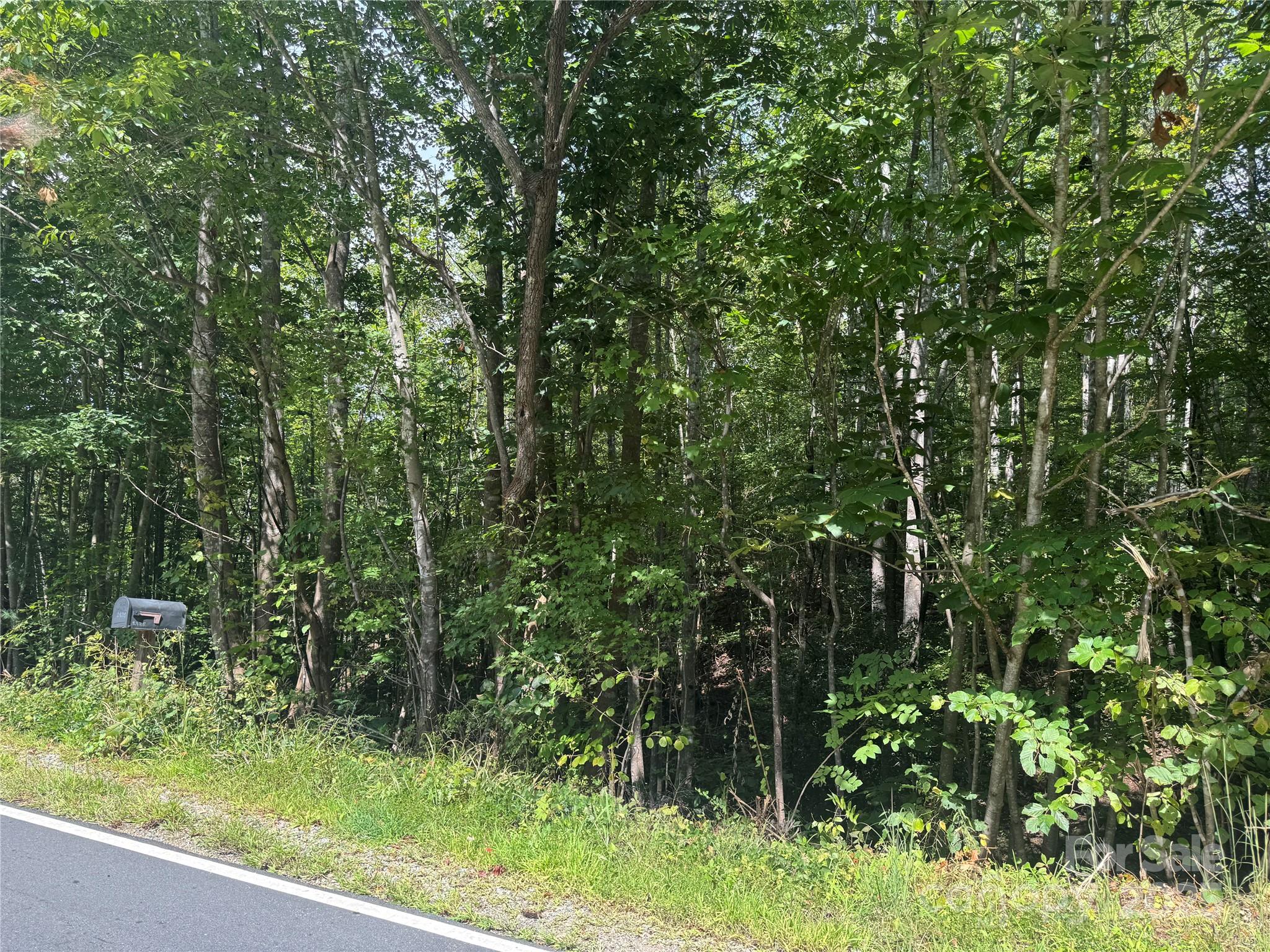 Acreage at 0 Playmore Beach Road, Lenoir, photo 3 of 4