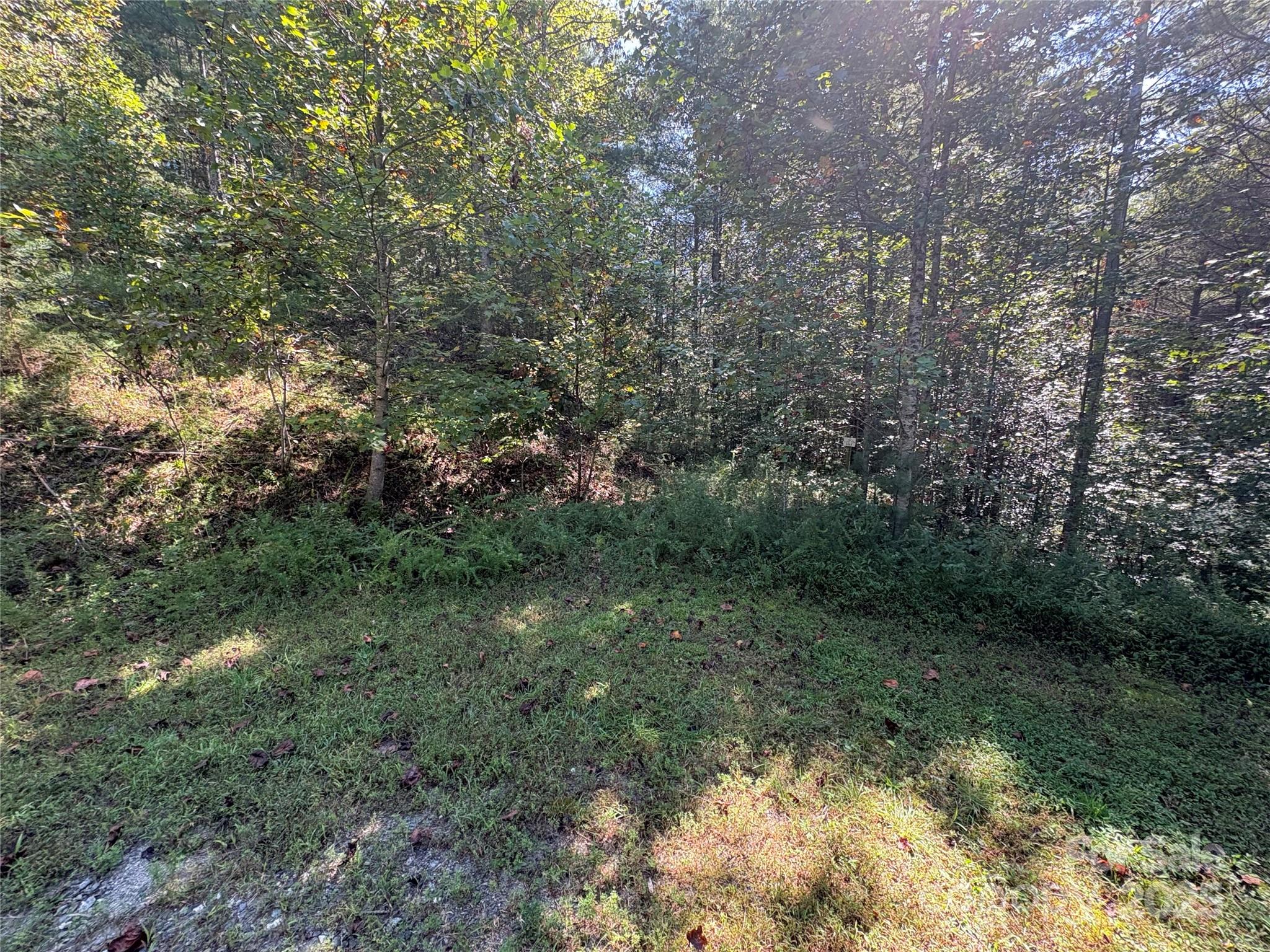 Lot at 000 National Forest Drive, Lenoir, photo 4 of 9