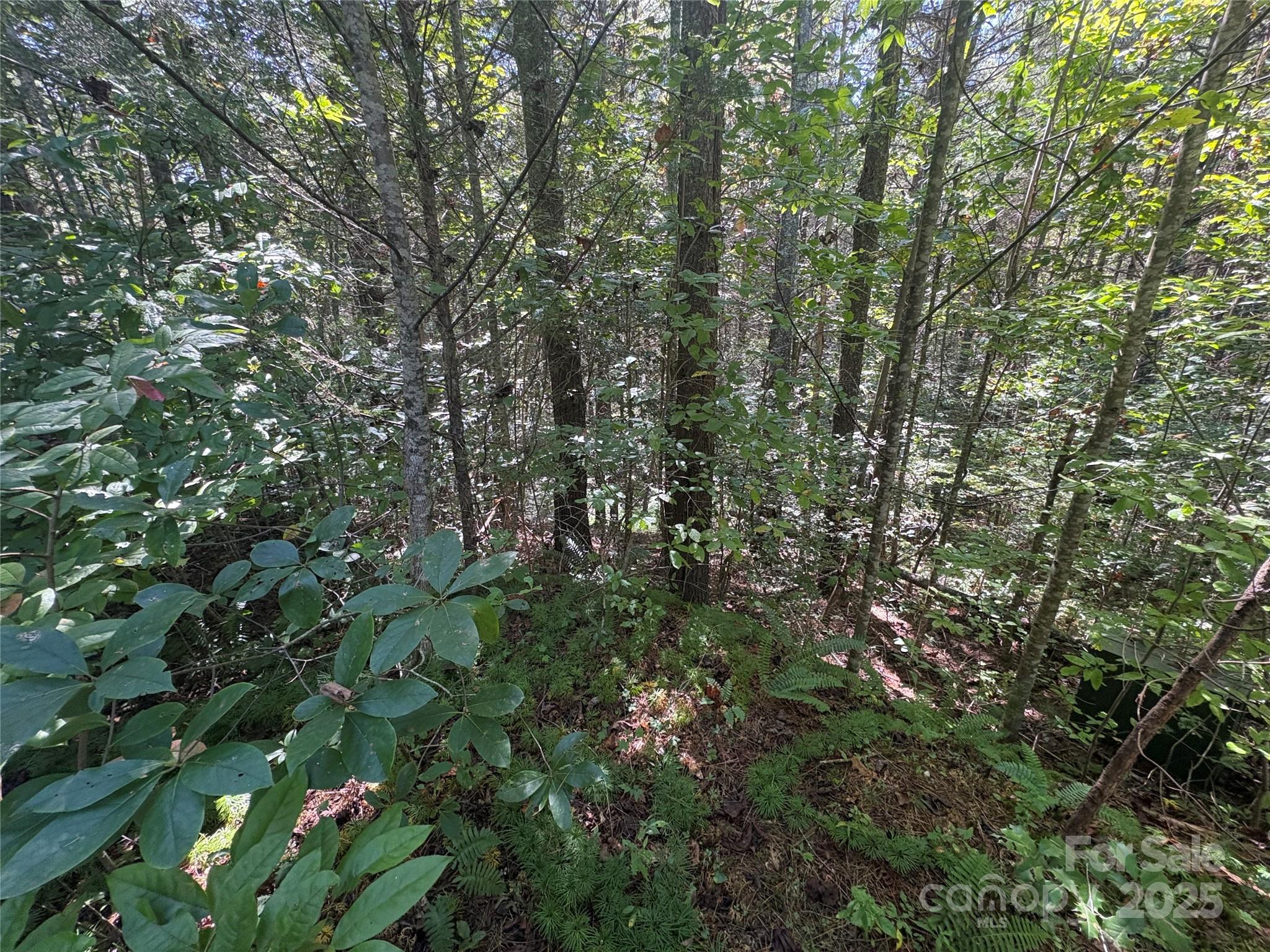 Lot at 000 National Forest Drive, Lenoir, photo 5 of 9