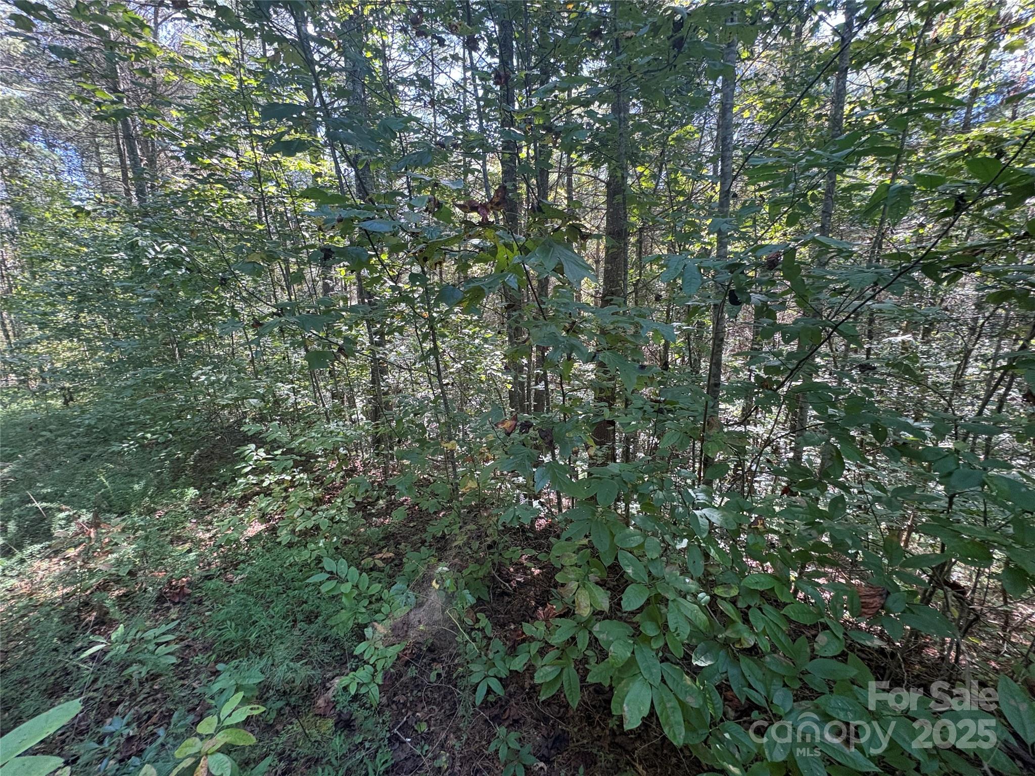 Lot at 000 National Forest Drive, Lenoir, photo 6 of 9