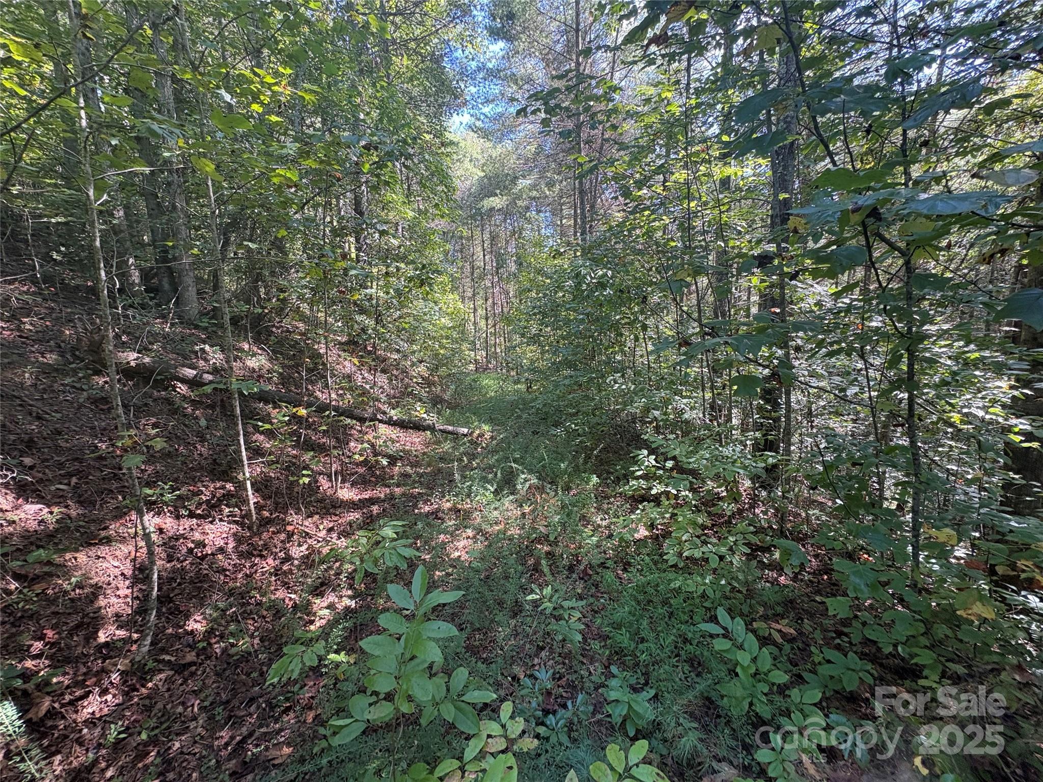 Lot at 000 National Forest Drive, Lenoir, photo 7 of 9