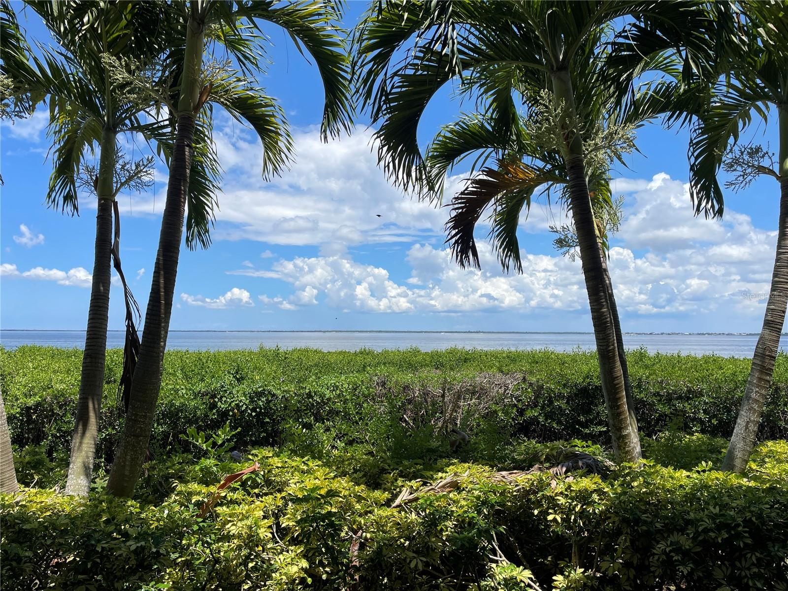 Amazing views of Charlotte Harbor - 85 VIVANTE BLVD #8534, PUNTA GORDA