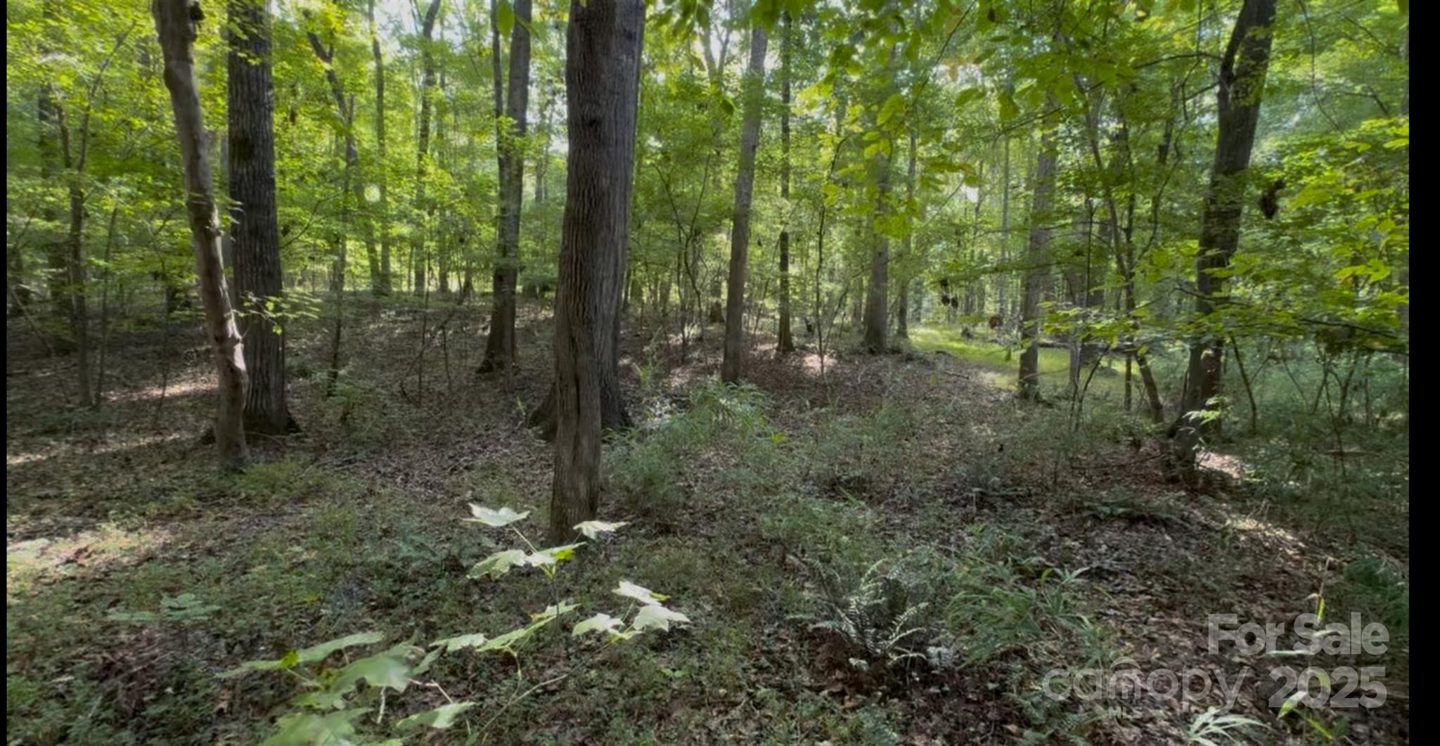 Level Property - 1402 Bloomsberry Lane, Waxhaw