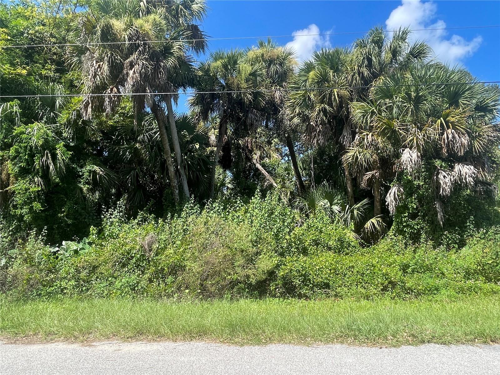 SNYDER (LOT 6 BLOCK 1019) ST
