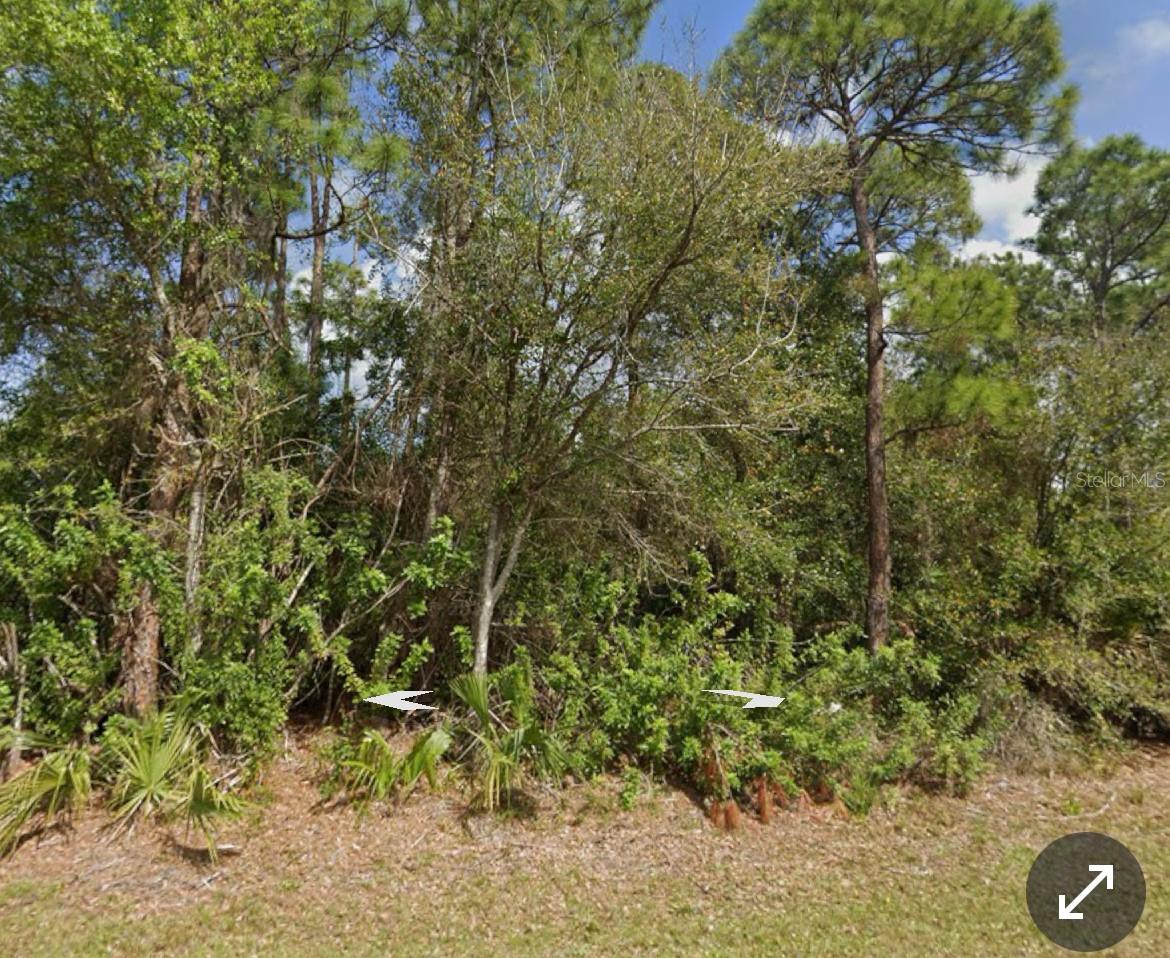 Land at 11410 11TH AVE, PUNTA GORDA, photo 2 of 2
