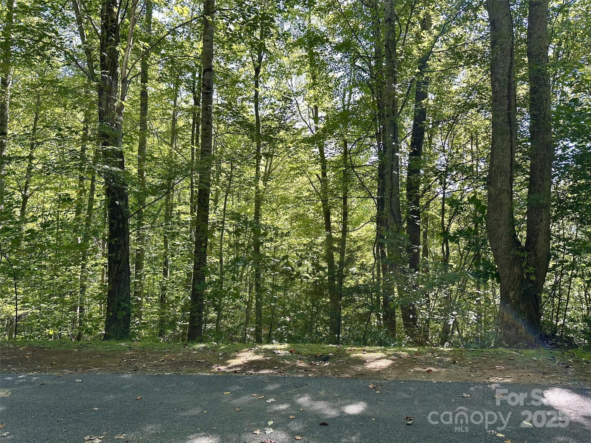 Lot at 00 Loblolly Way, Maggie Valley, photo 2 of 9