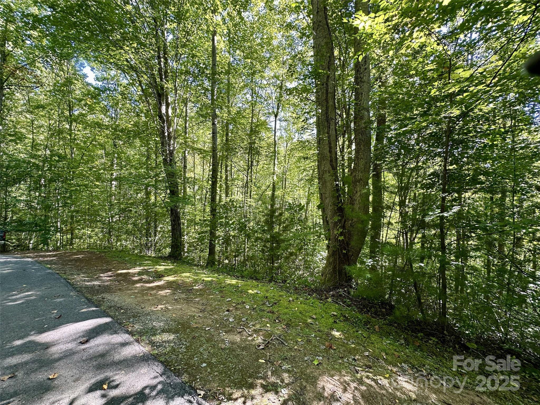 Lot at 00 Loblolly Way, Maggie Valley, photo 3 of 9