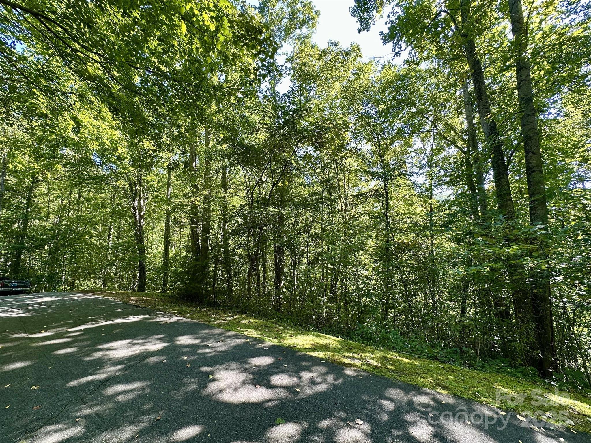 Lot at 00 Loblolly Way, Maggie Valley, photo 4 of 9