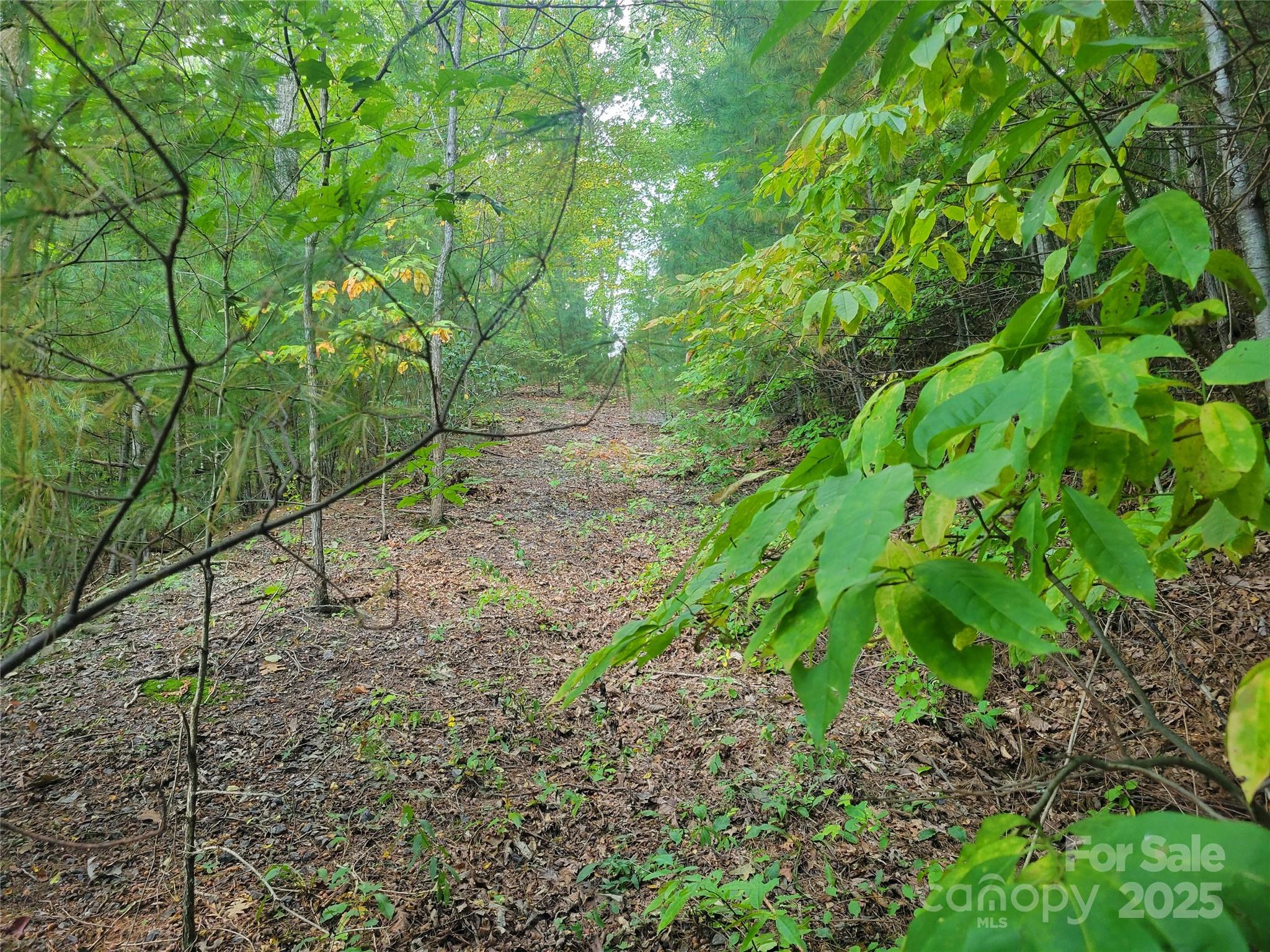 Lot at 0 Pinewood Drive, Waynesville, photo 2 of 7