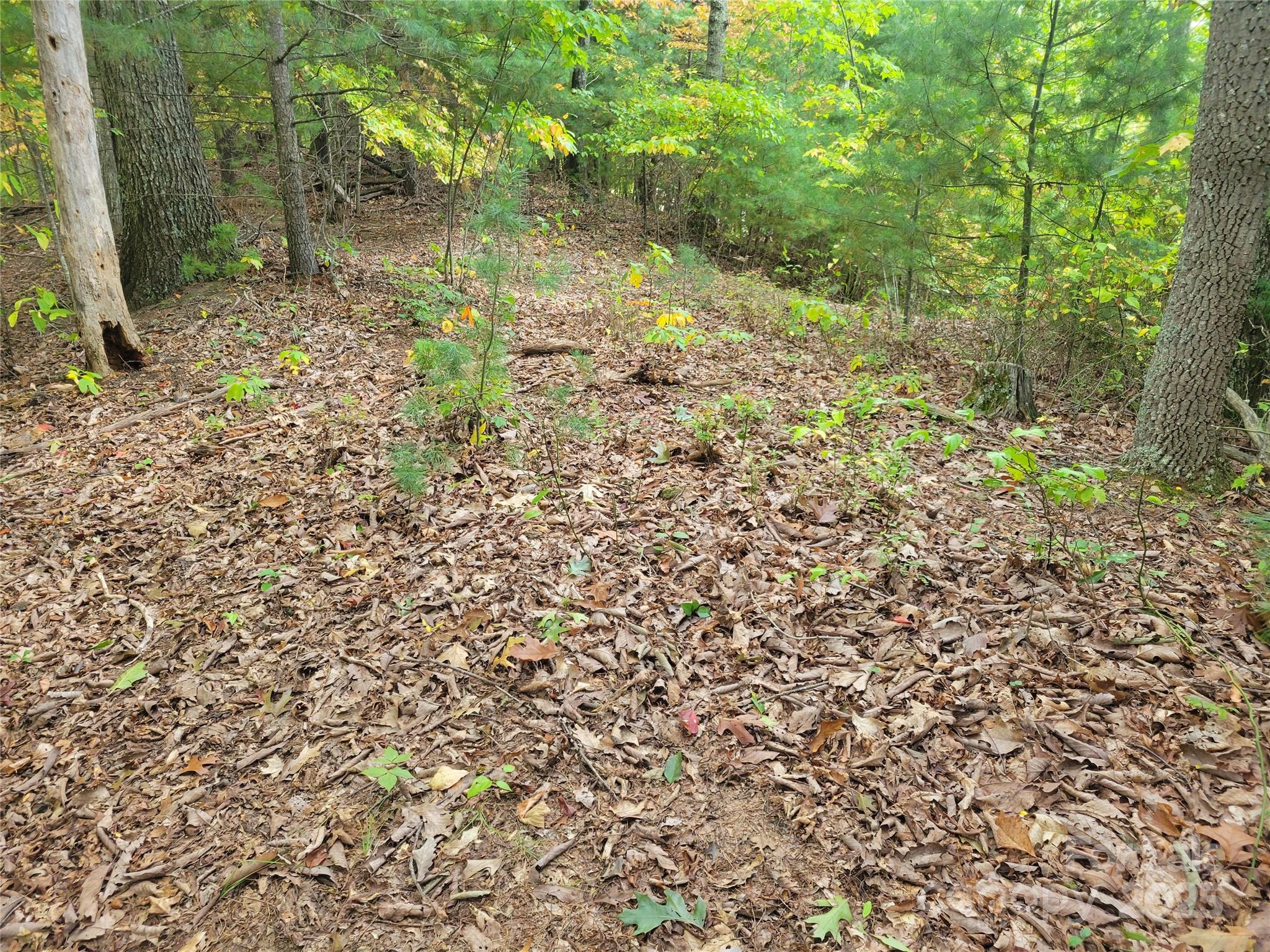 Lot at 0 Pinewood Drive, Waynesville, photo 4 of 7