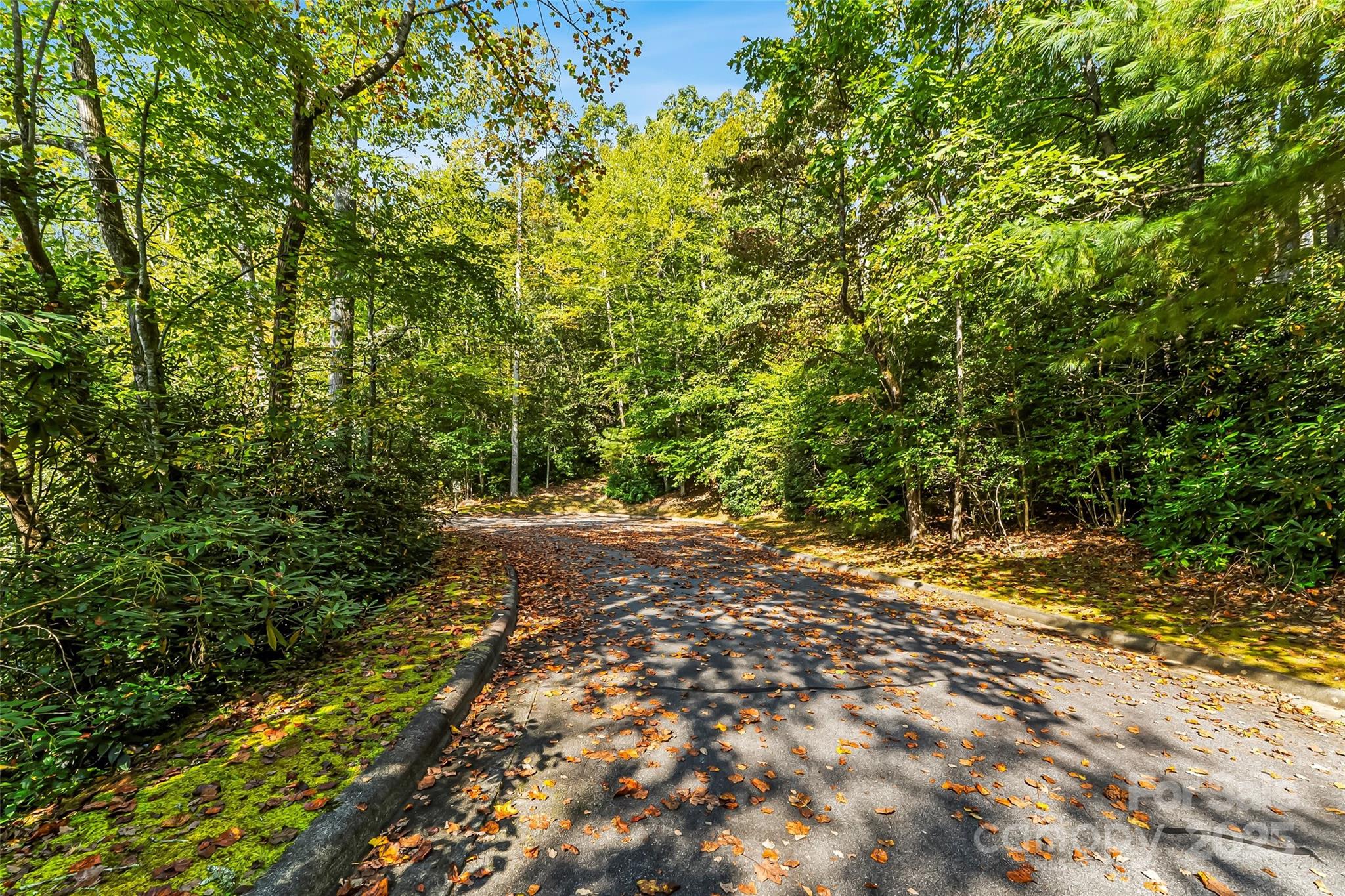 Lot at L12R Trailside Court, Brevard, photo 3 of 13