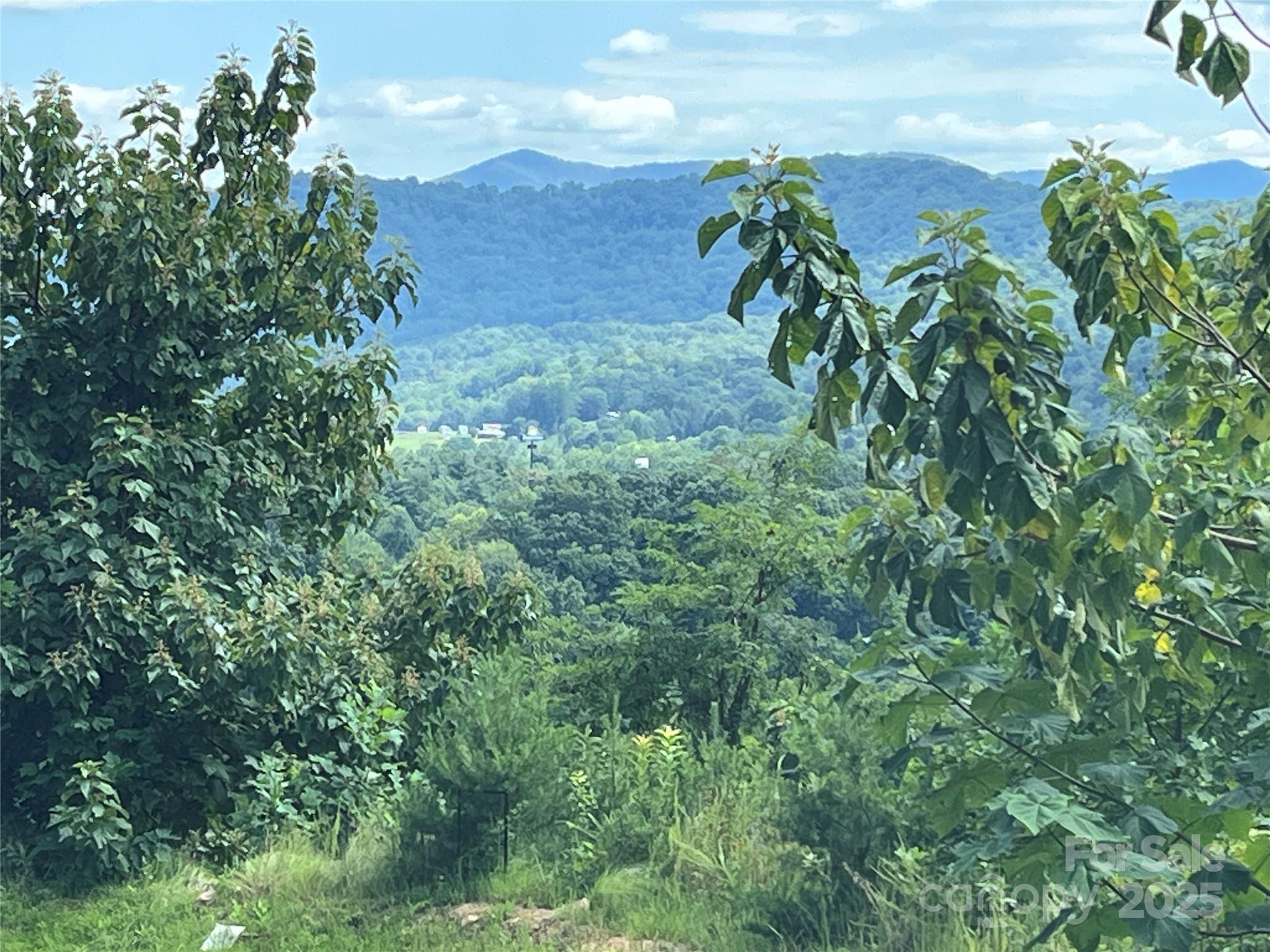 View from Lot 4 - 4 Summit View Drive, Canton