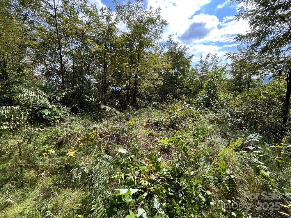 Just below for sale sign is a large FLAT building site with great view - 4 Summit View Drive, Canton