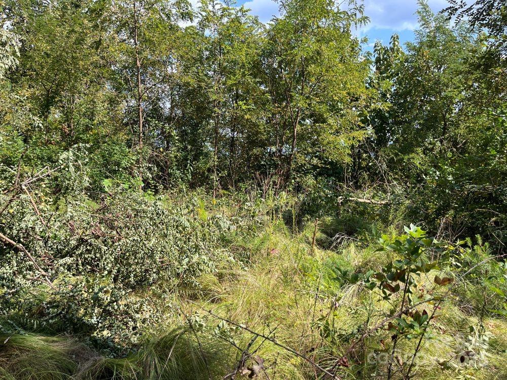 Excellent flat build site below For Sale sign - 4 Summit View Drive, Canton