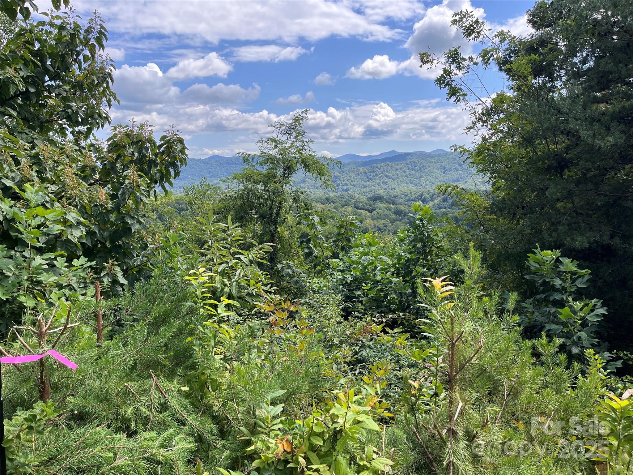 View from Lot 4 - 4 Summit View Drive, Canton
