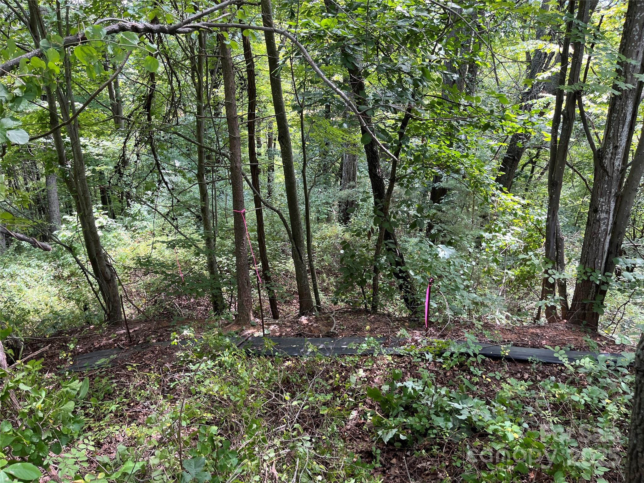 View of interior of Lot 4 - 4 Summit View Drive, Canton