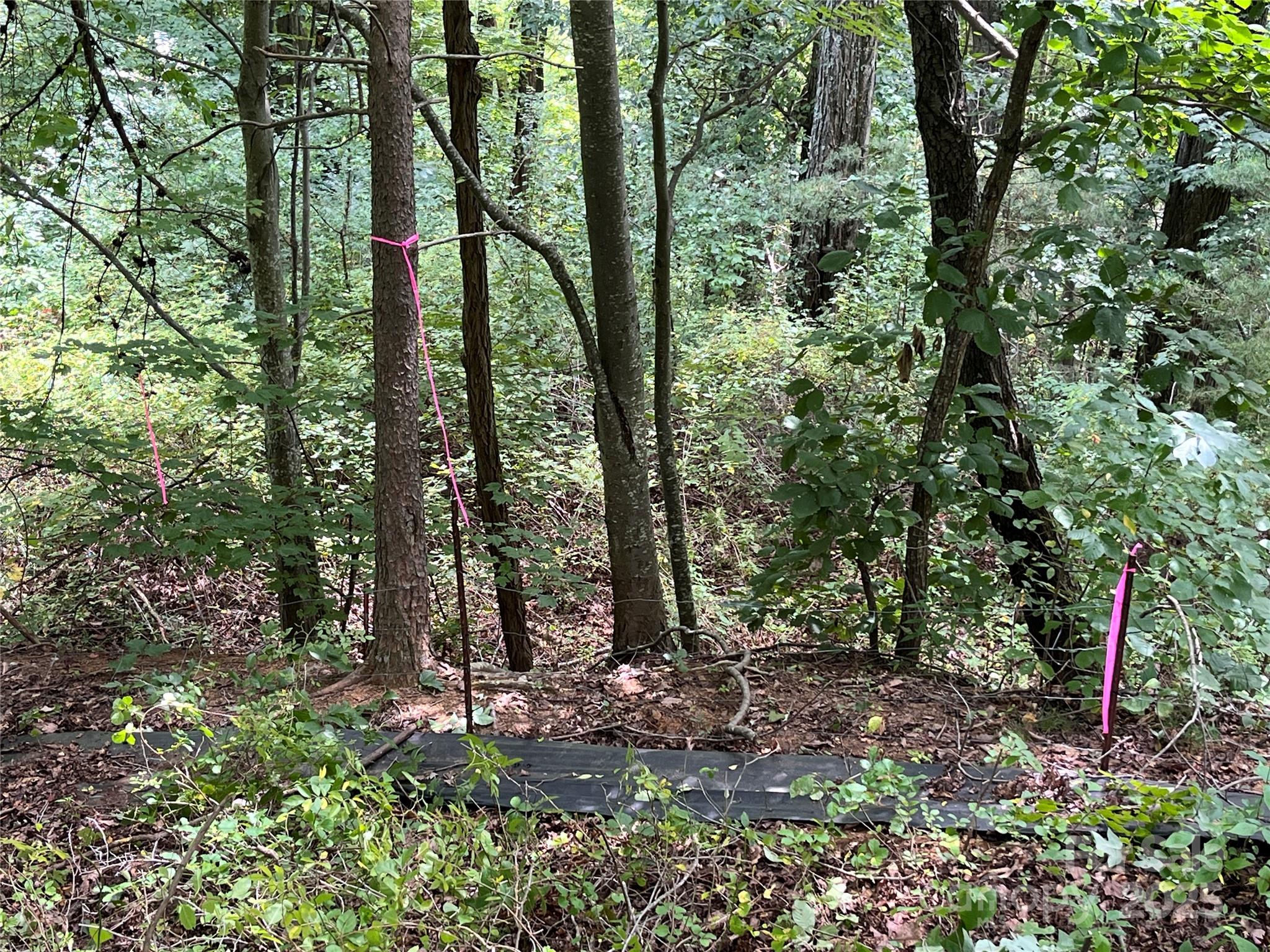 Interior of Lot 4 - 4 Summit View Drive, Canton