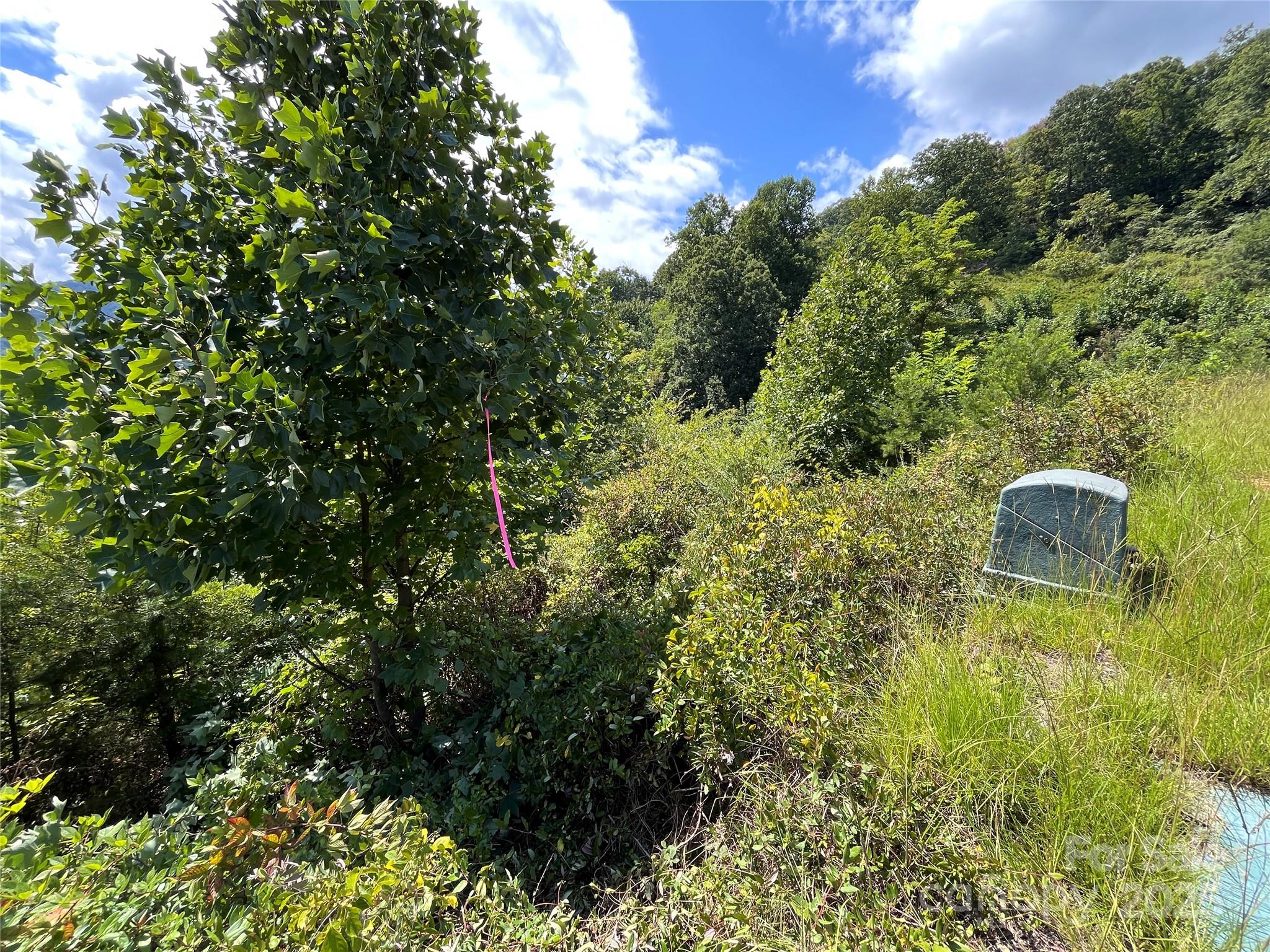 Lower corner of Lot - 4 Summit View Drive, Canton