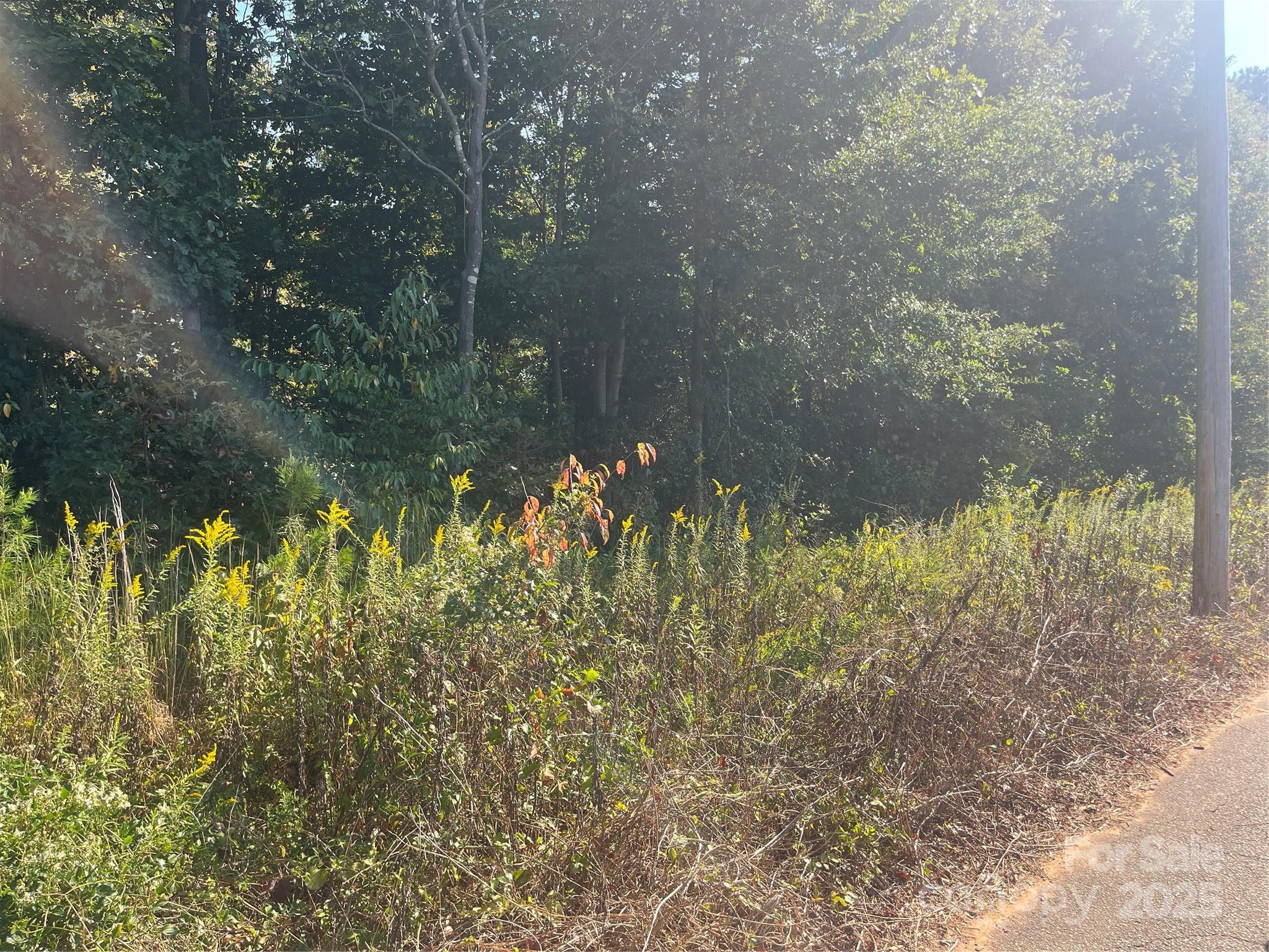 None at 205 Craftsman Drive, Morganton, photo 2 of 3